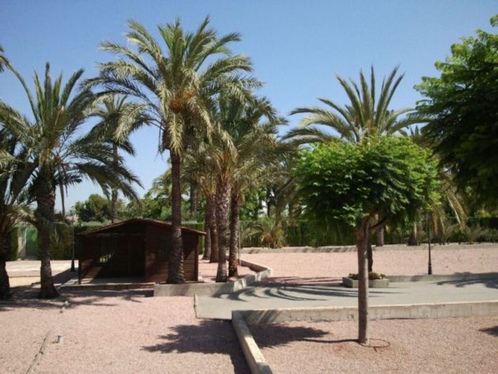 Rumah di Elche, Valencian Community 11975613