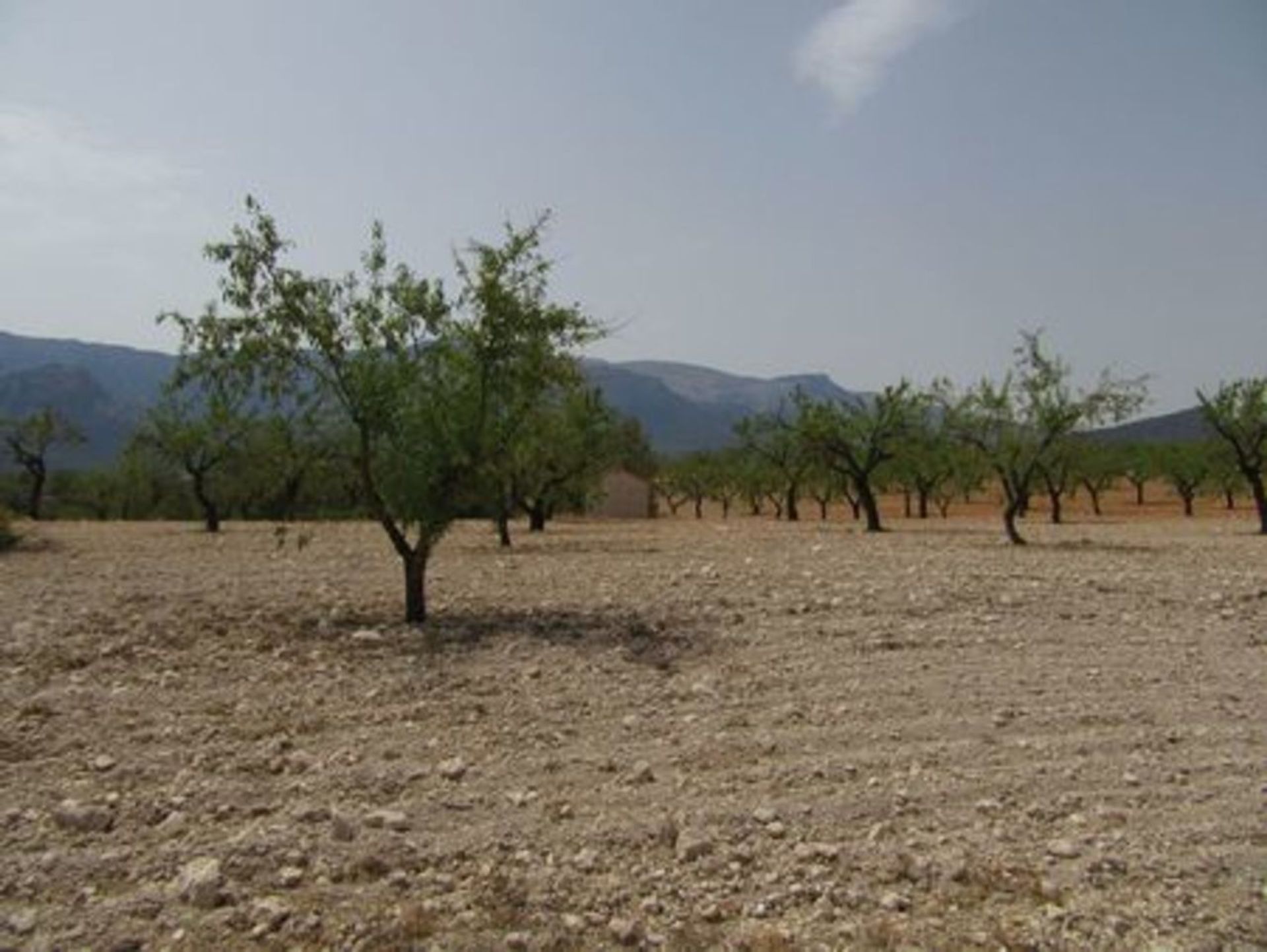 Земля в Murcia, Region of Murcia 11976475