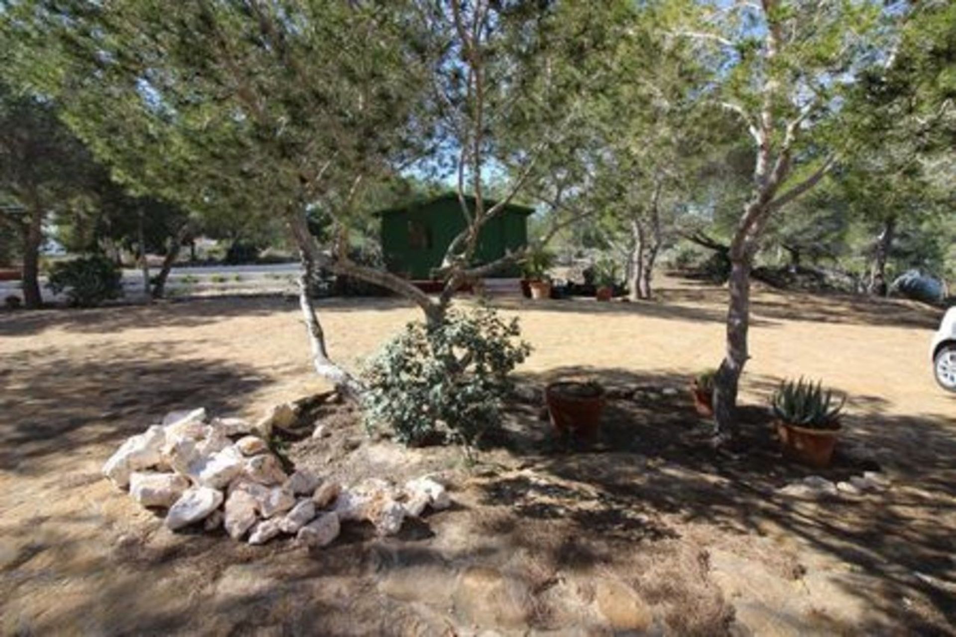 Casa nel San Miguel de Salinas, Valencian Community 11976478