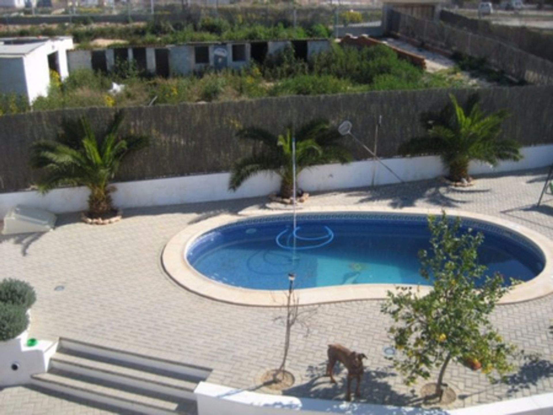 Haus im Torre-Pacheco, Region of Murcia 11976480