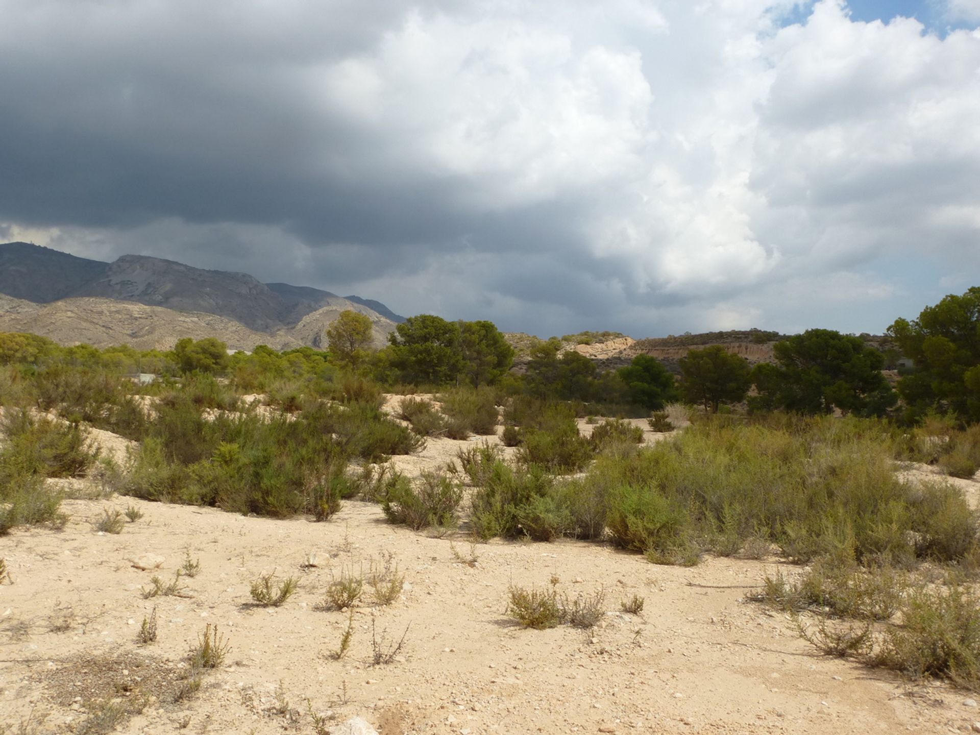 Land i Crevillent, Valencian Community 11976646