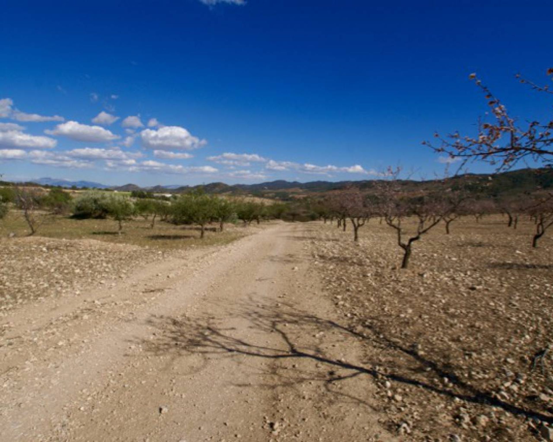 Tanah di Murcia, Murcia 11976860