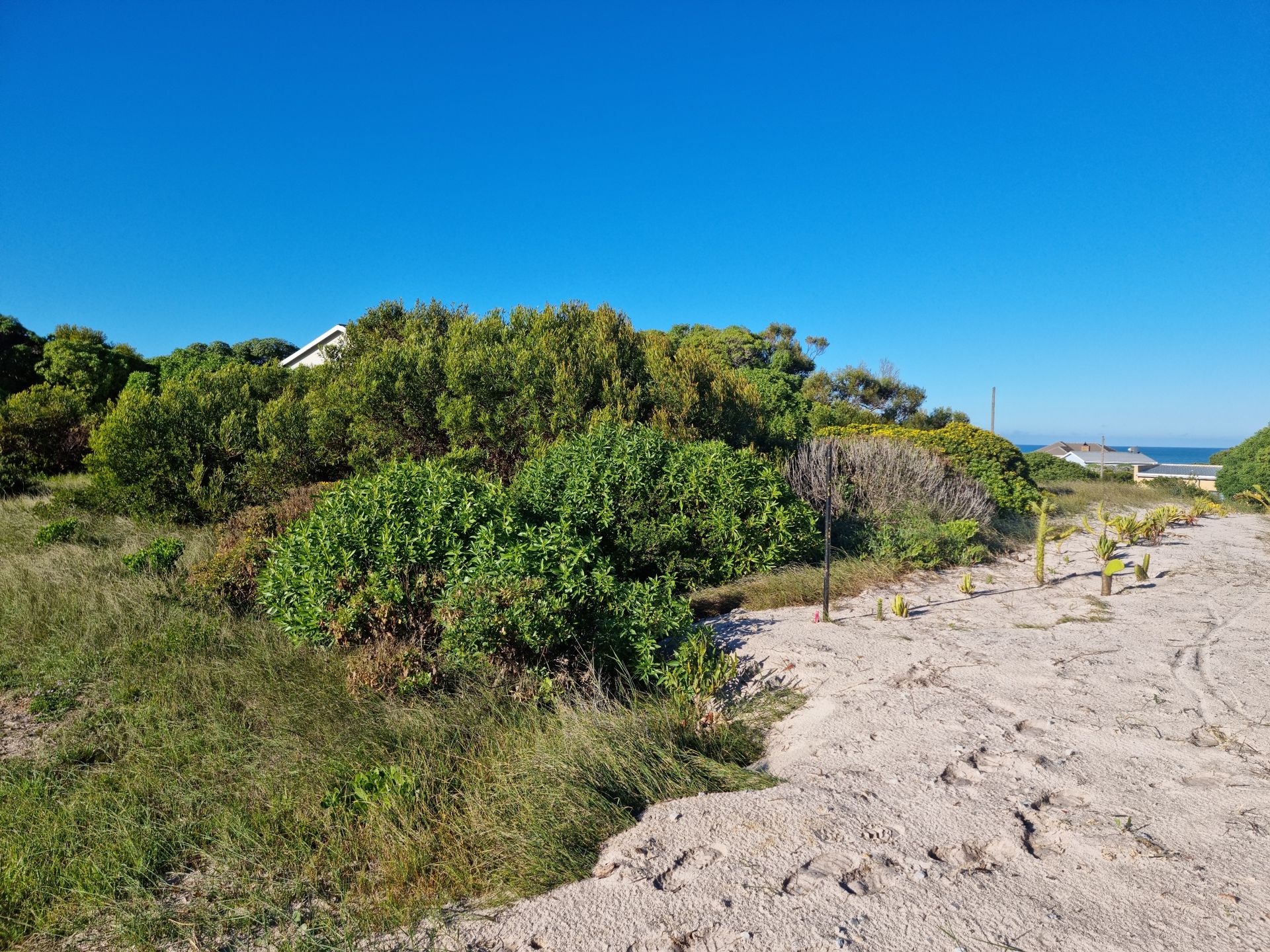 Terra no praia perolada, cabo Ocidental 11977149