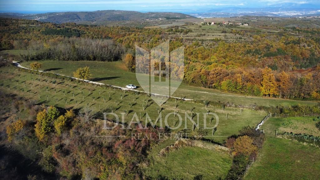 Tanah dalam Momjan, Istria County 11980465