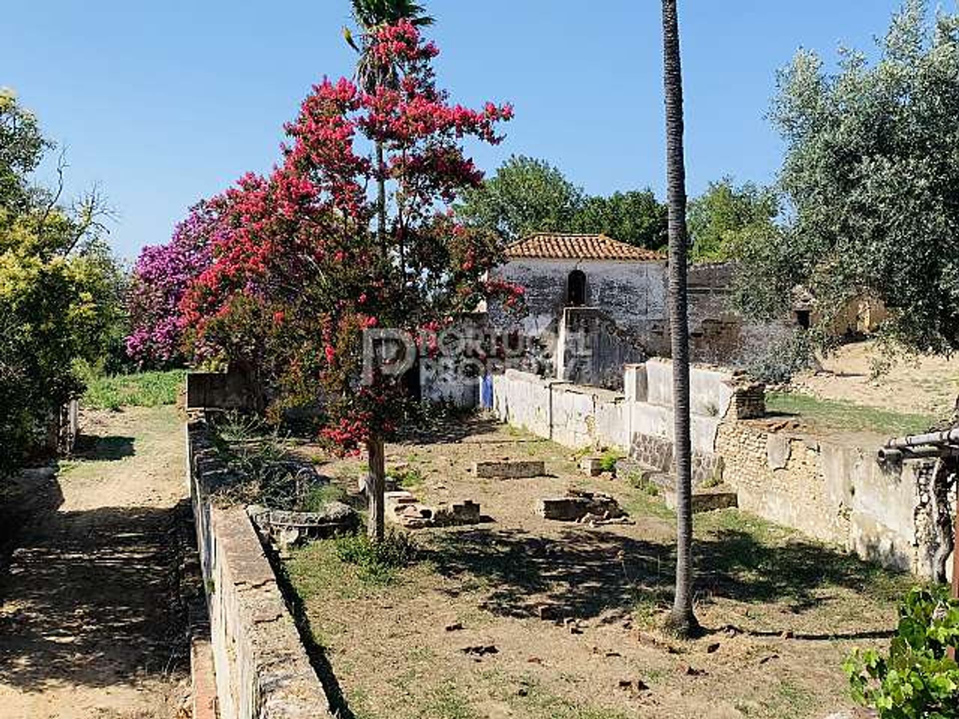 房子 在 , Santarém District 11981105