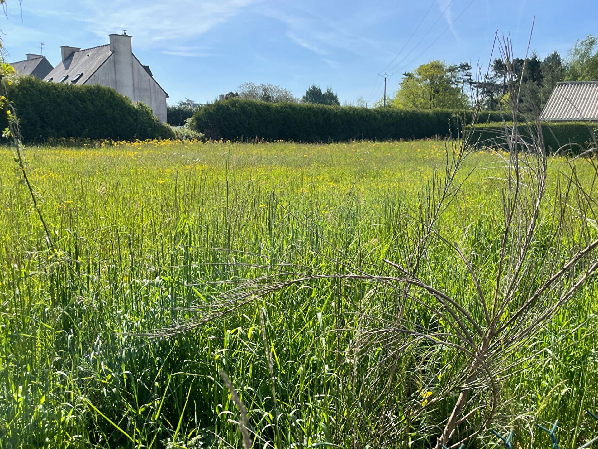 Land in Plelan-le-Petit, Bretagne 11981245