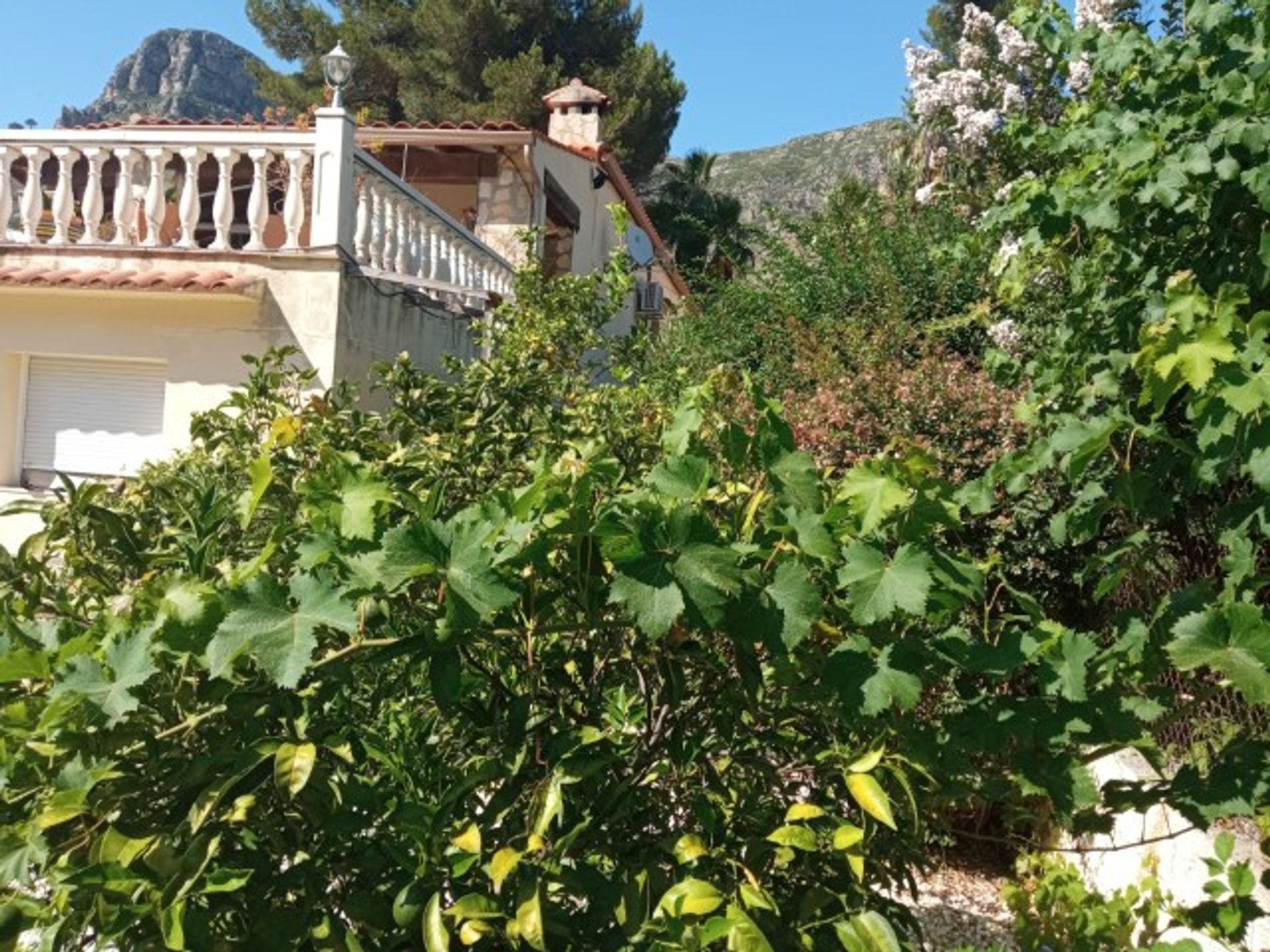 Casa nel La Drova, Valencian Community 11981453