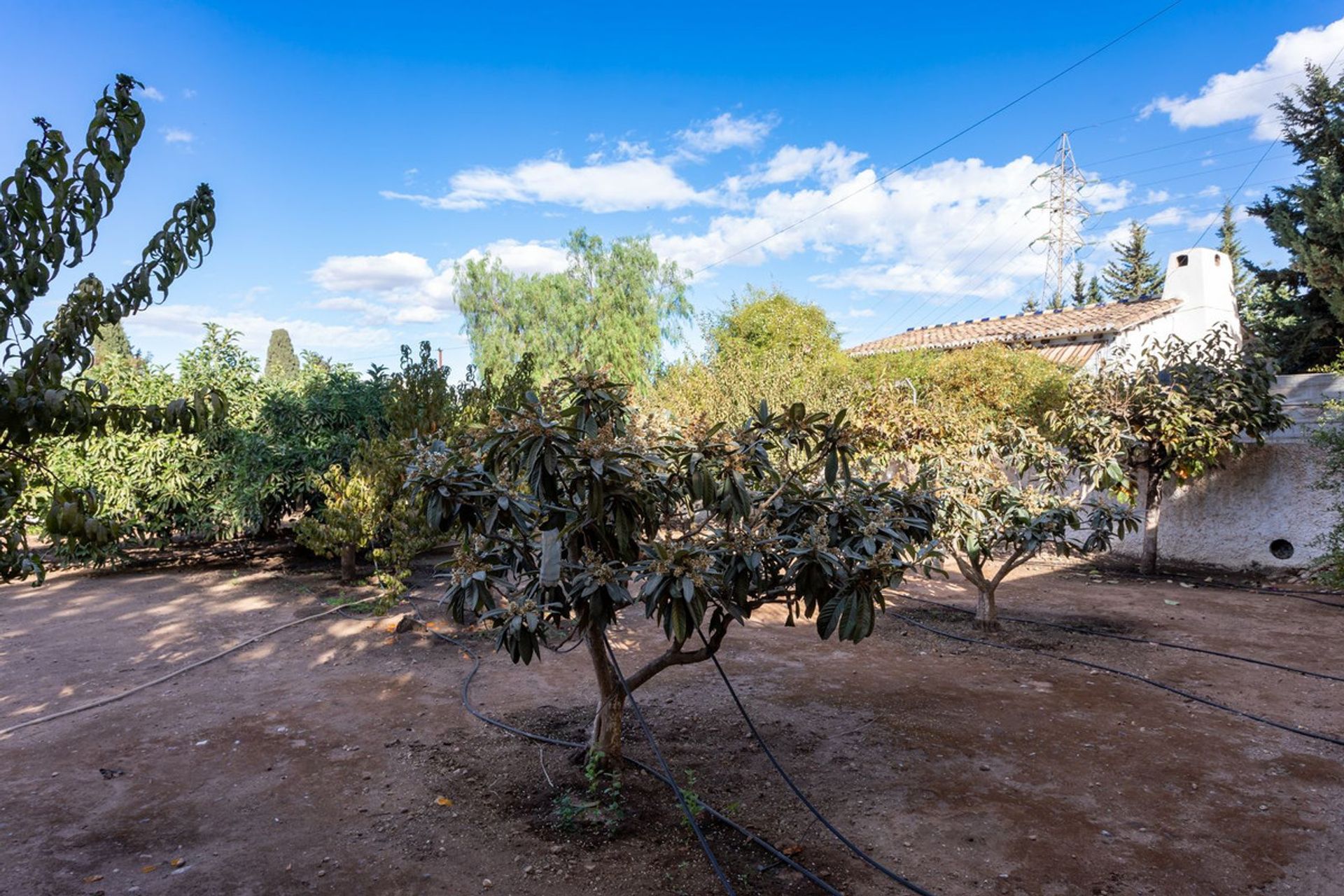 Haus im Alhaurín de la Torre, Andalucía 11982294