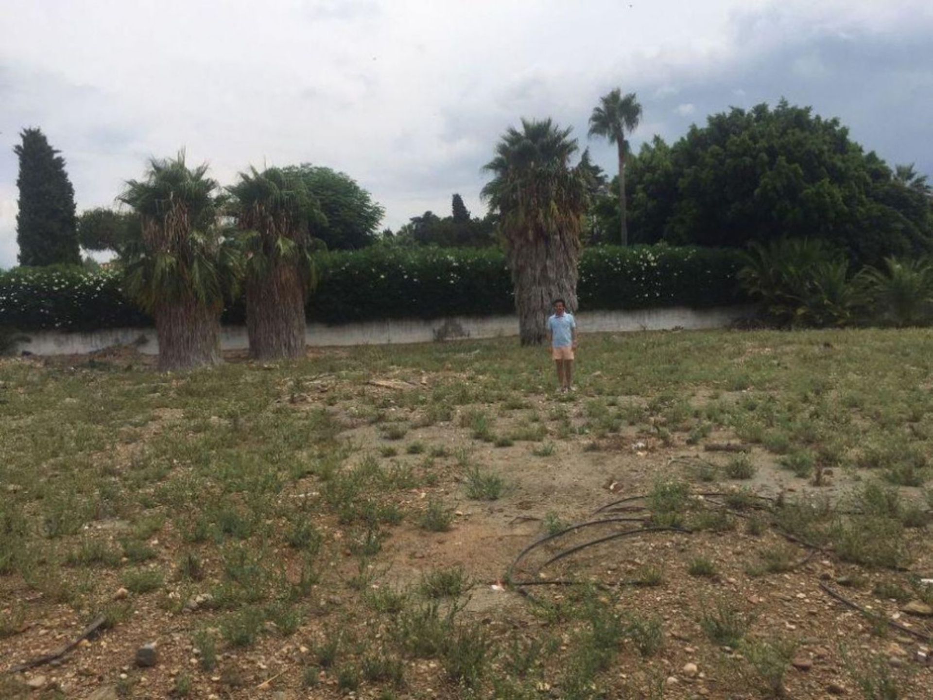 Tierra en San Pedro de Alcántara, Andalucía 11982379