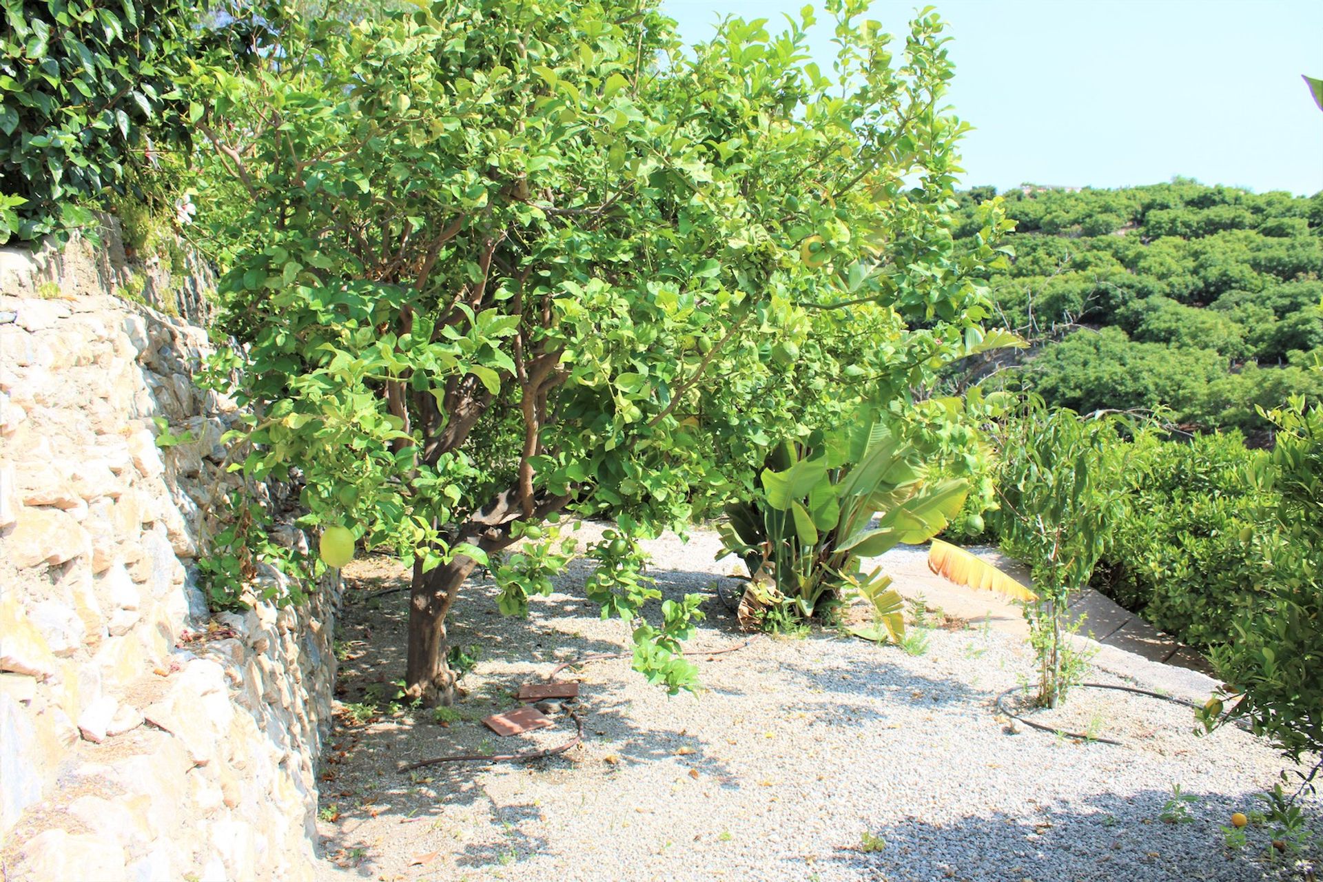 Casa nel Salobreña, Andalucía 11984017