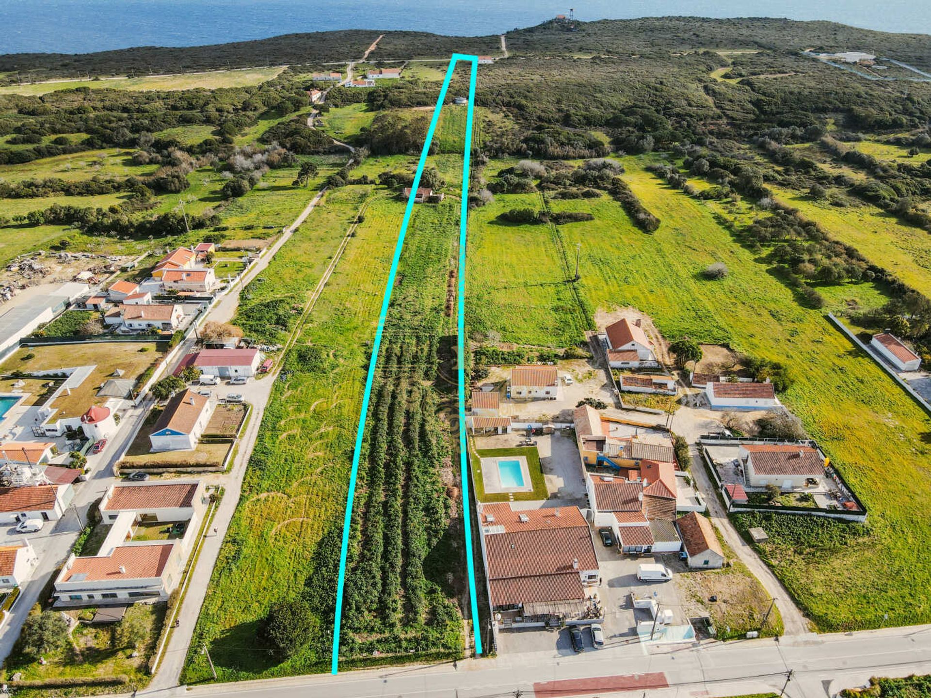 Land in Cotovia, Setubal 11987611