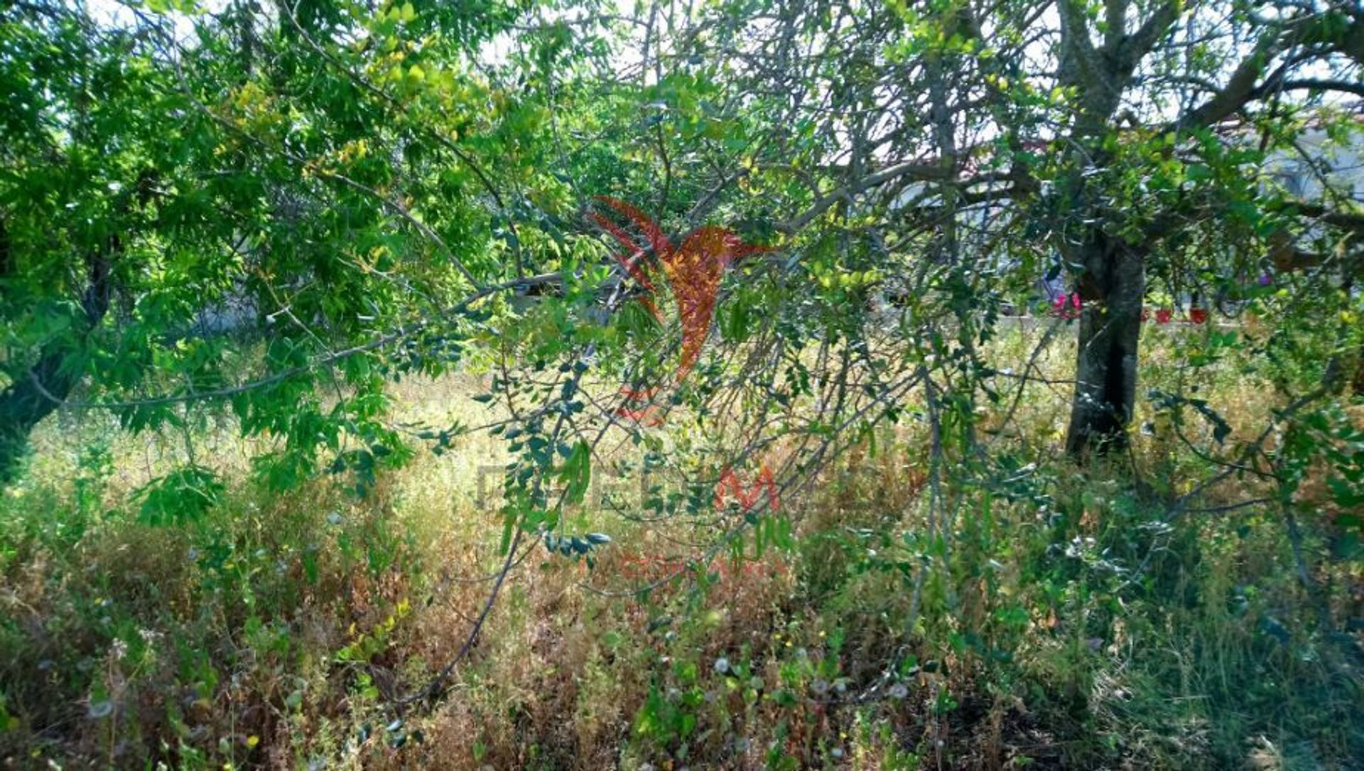 loger dans Paderne, Faro 11987967