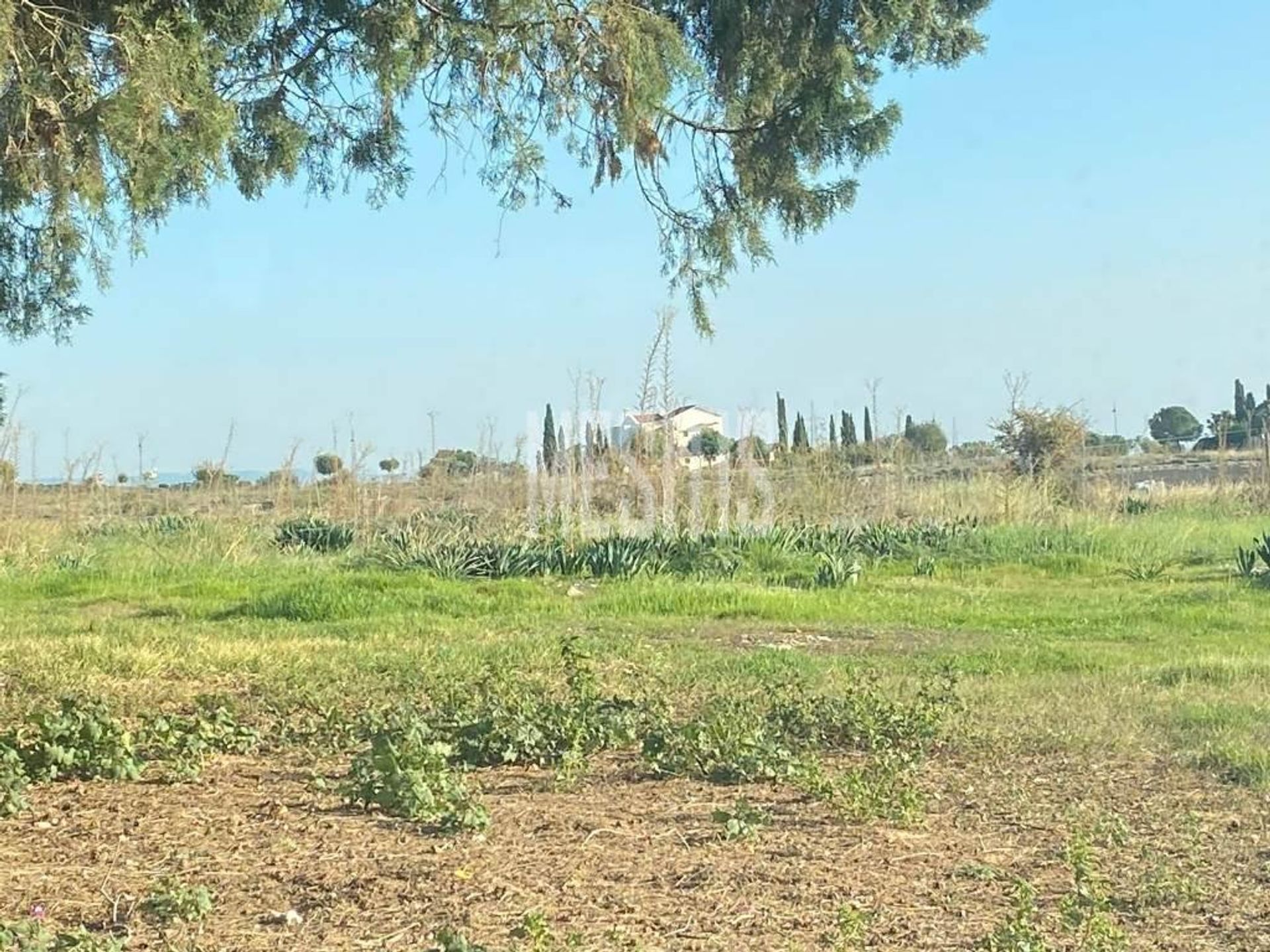 Terra no Agia Marinouda, Pafos 11988467