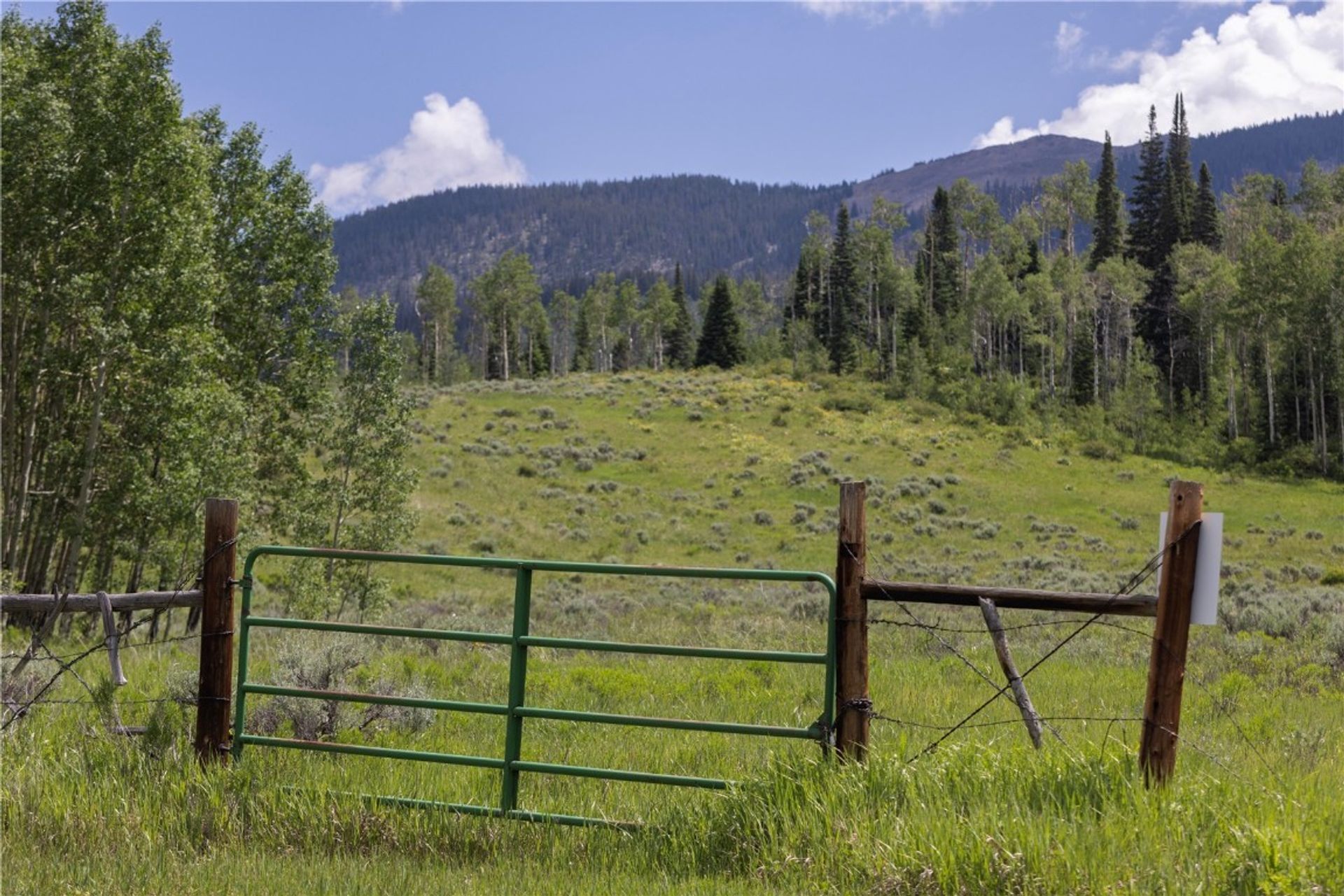 집 에 Silverthorne, Colorado 11989835