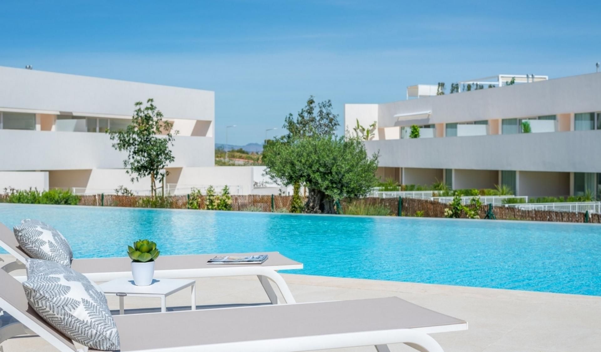 Haus im Torrevieja, Valencia 11990757