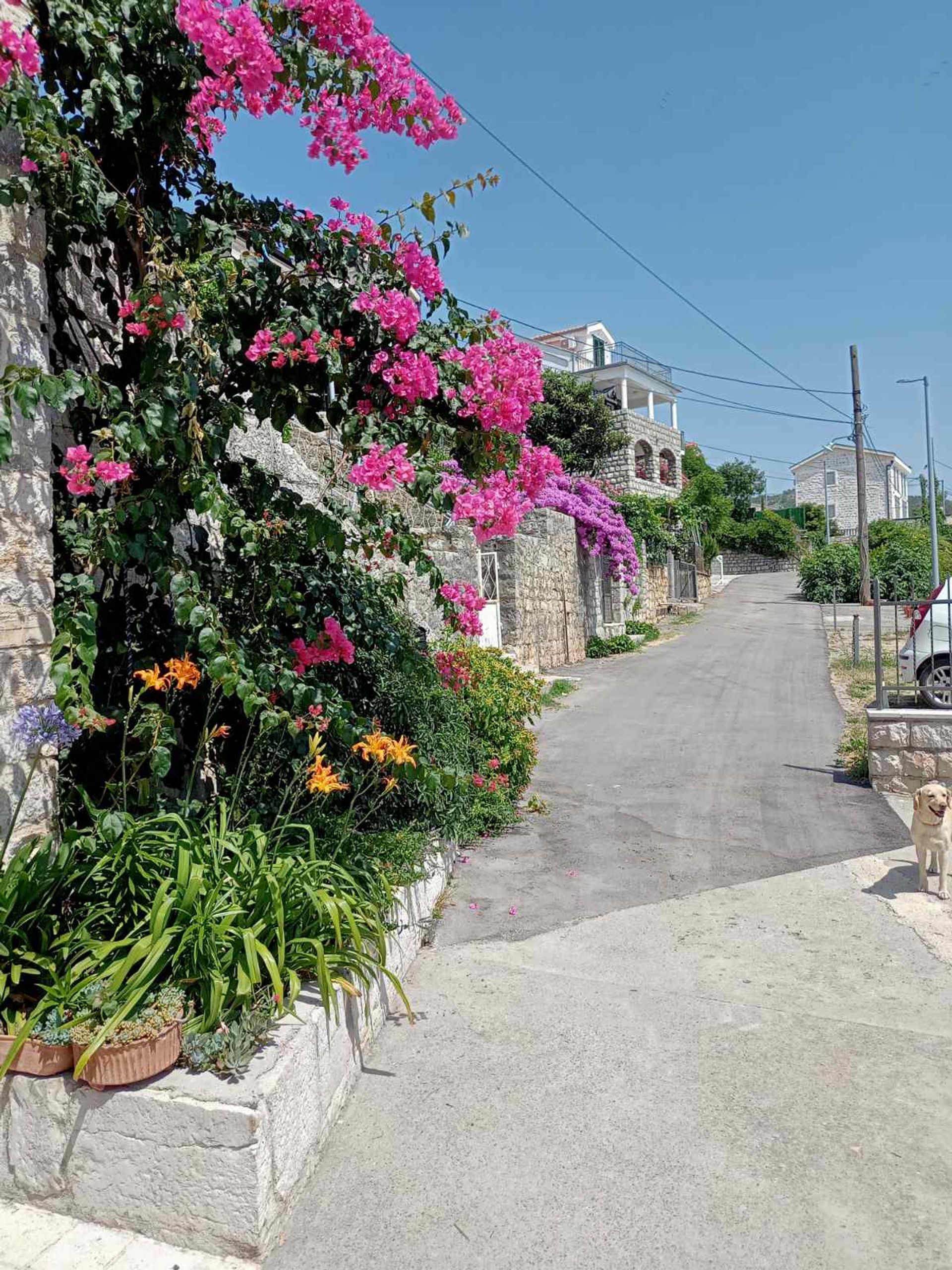 House in Budva, Budva Municipality 11991107