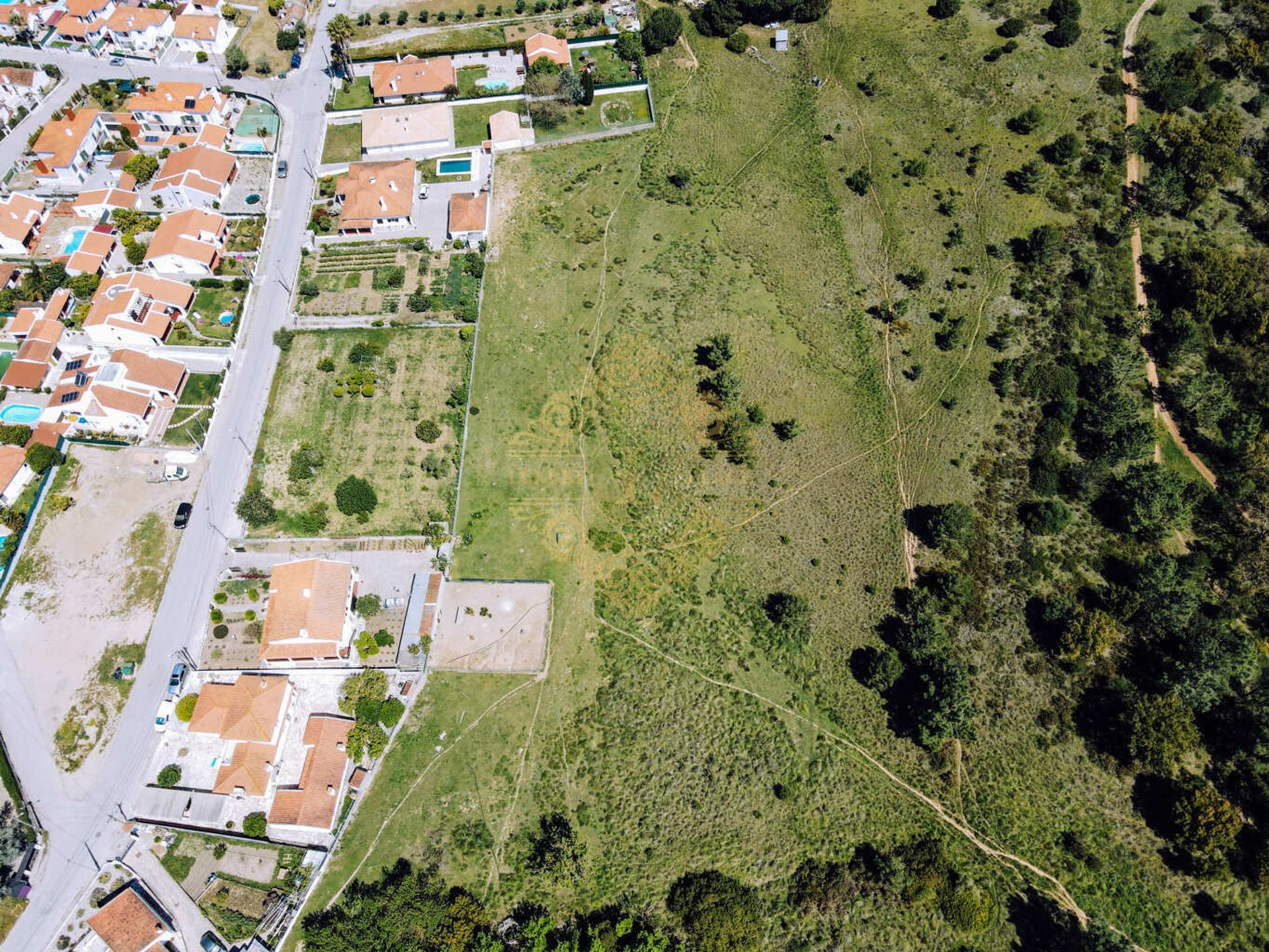 Land in Cotovia, Setubal 11991143