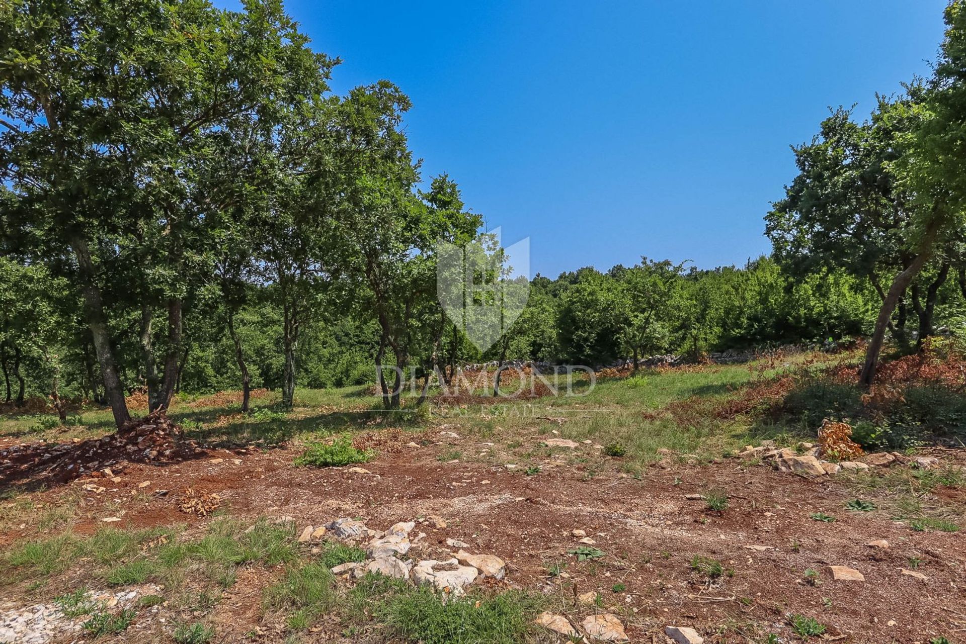 Land in Svetvincenat, Istarska Zupanija 11991493