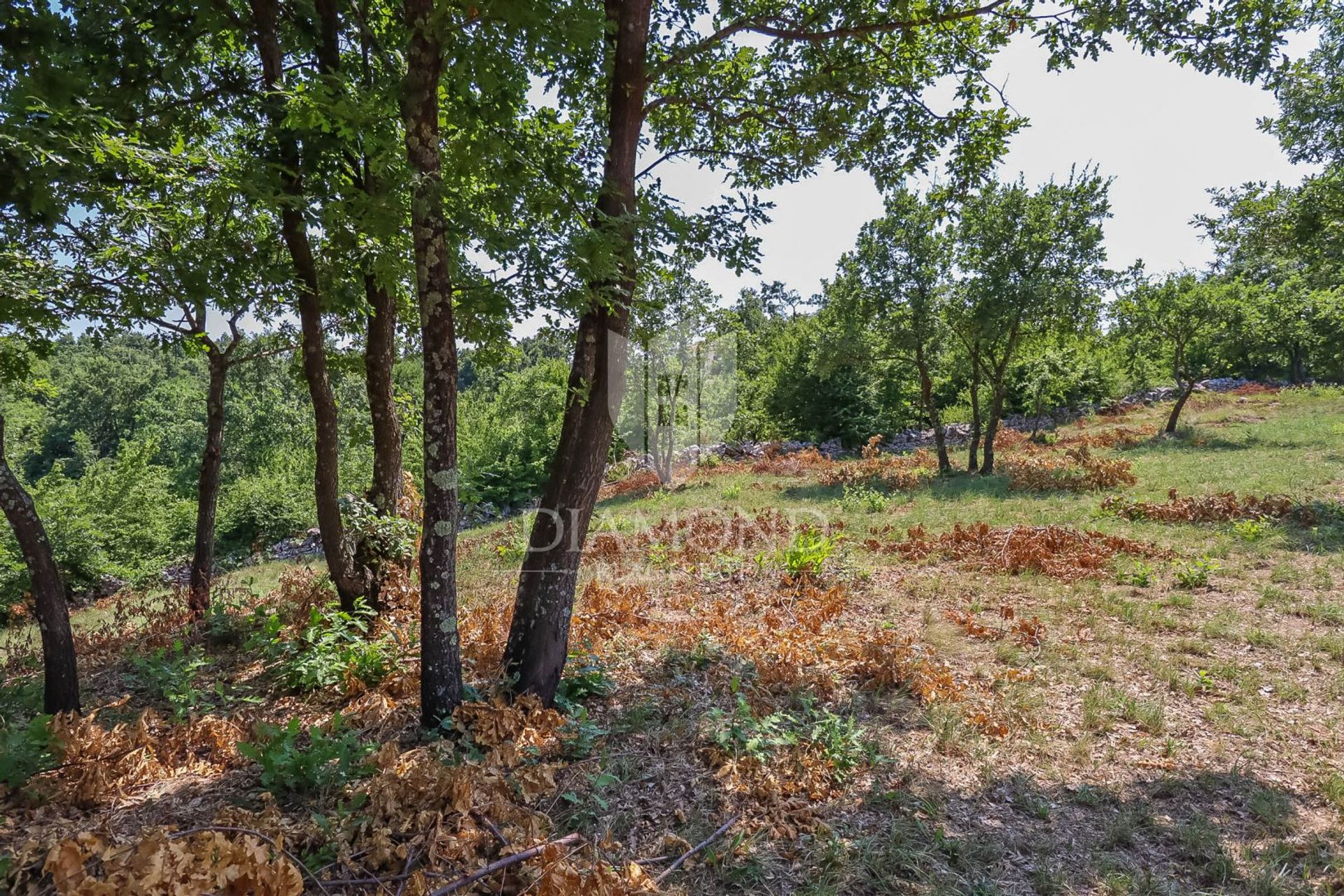 Tierra en Svetvincenat, Istarska Županija 11991495