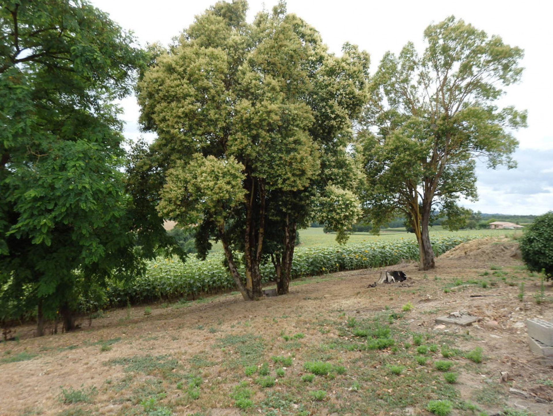 σπίτι σε Saint-Avit, Nouvelle-Aquitaine 11996294