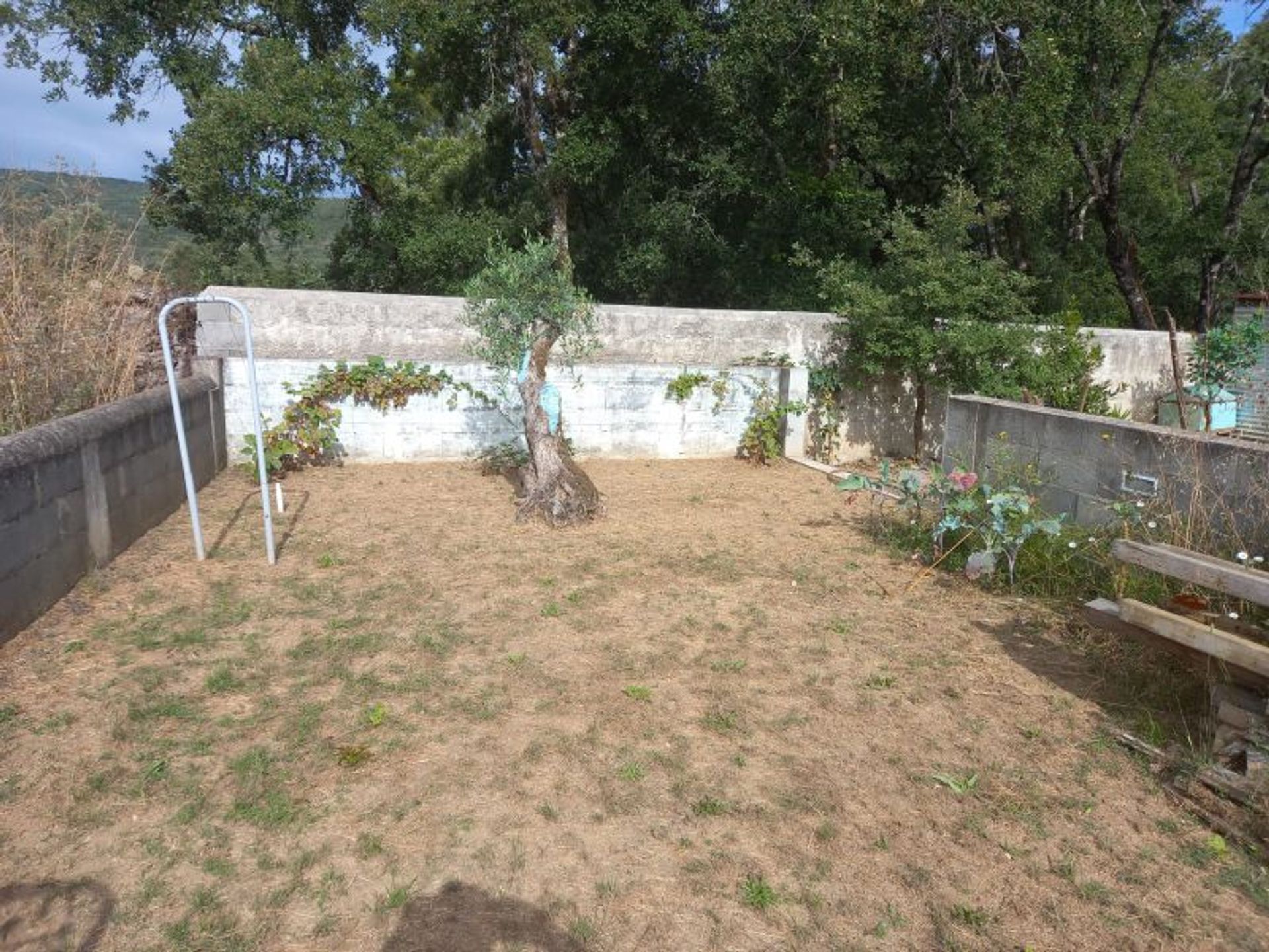 House in Chão de Couce, Leiria 11996510