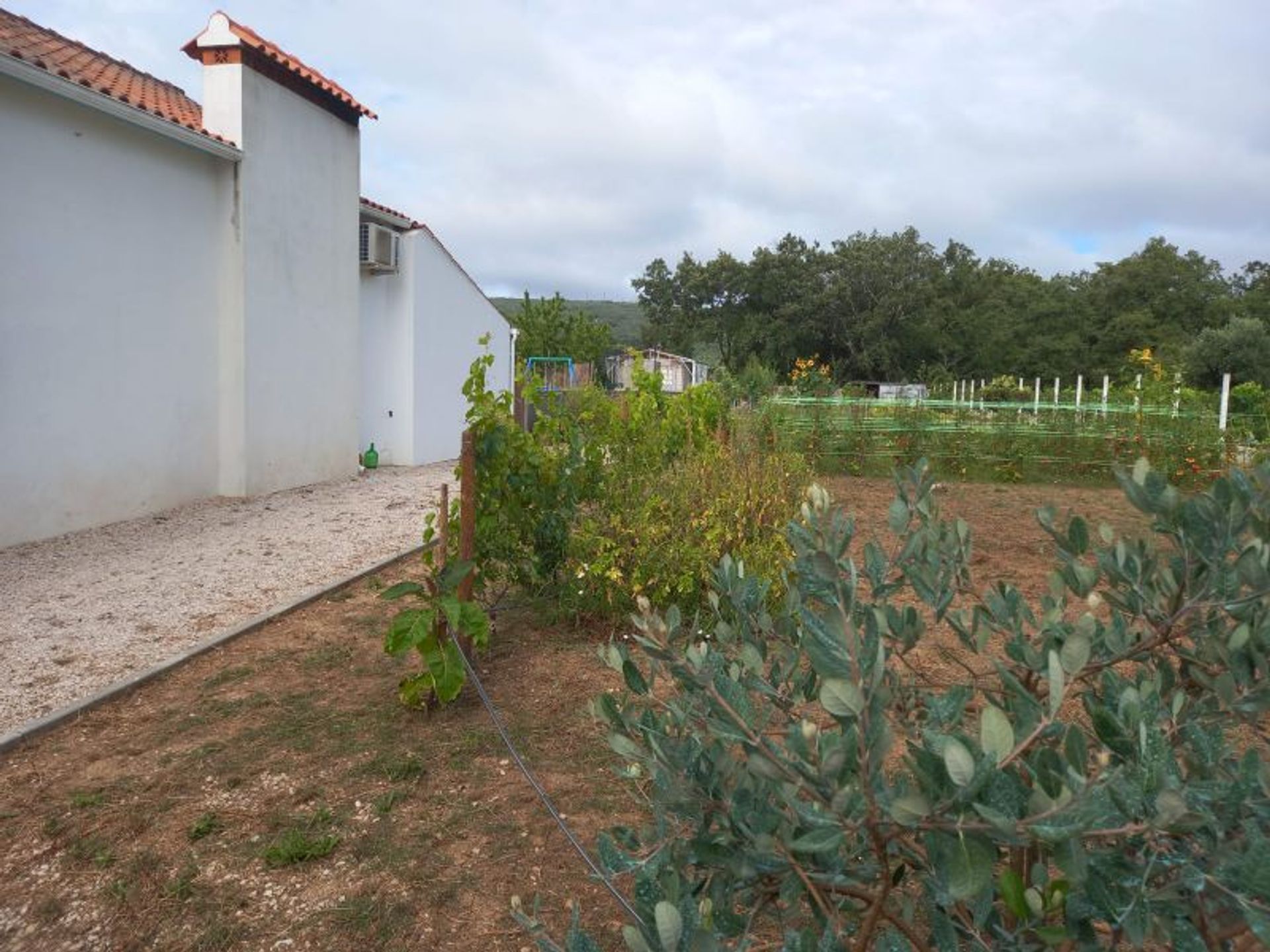 House in Chão de Couce, Leiria 11996510