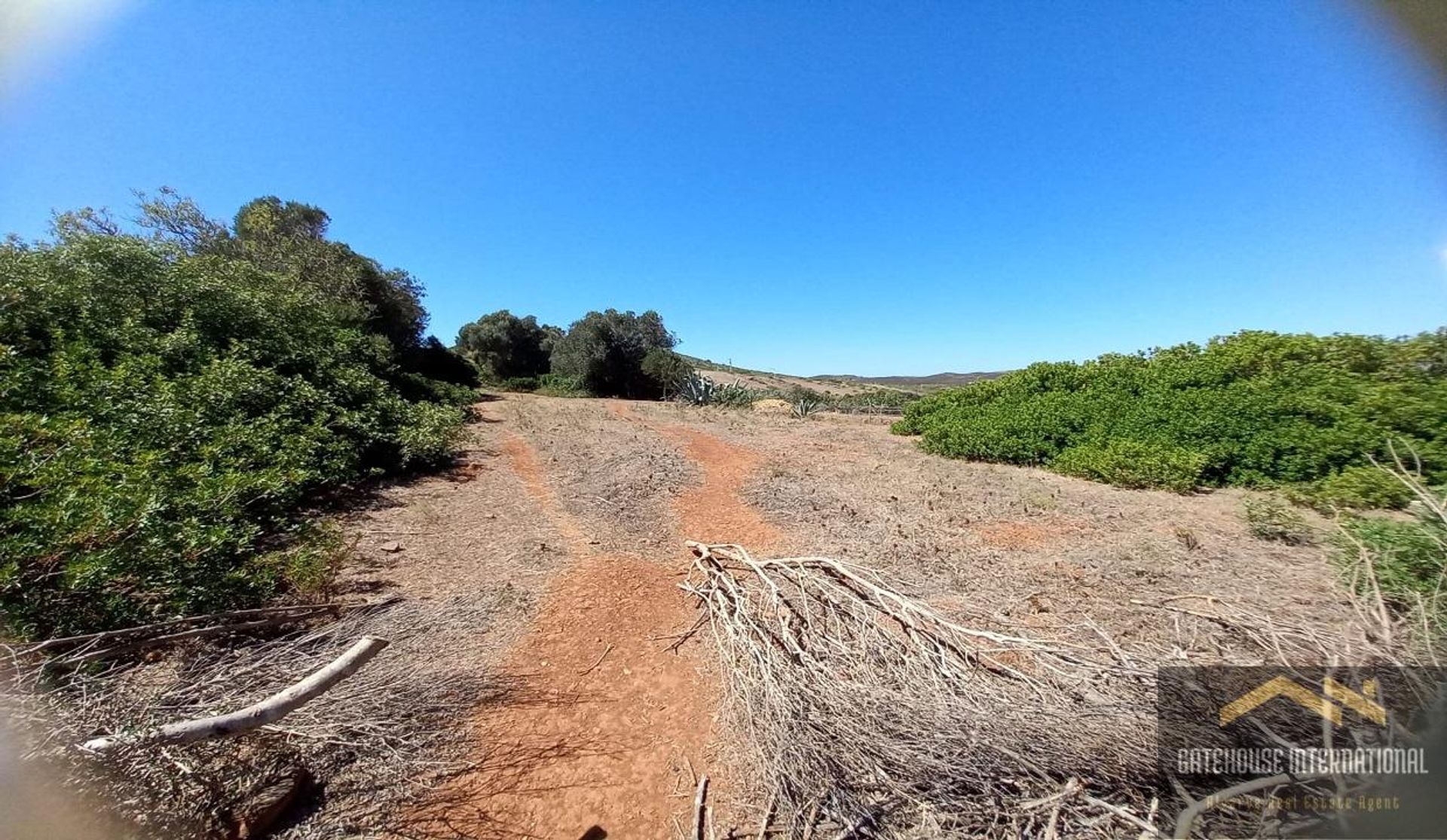 Terra no Raposeira, Faro 11997292