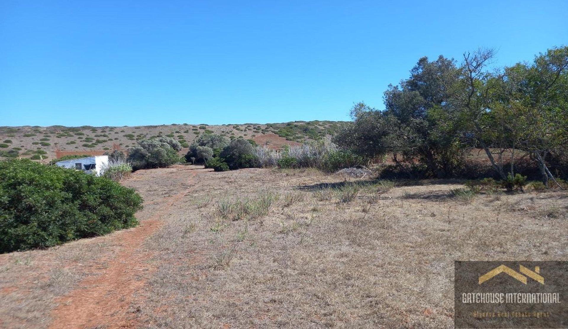 Tierra en raposeira, Faraón 11997292