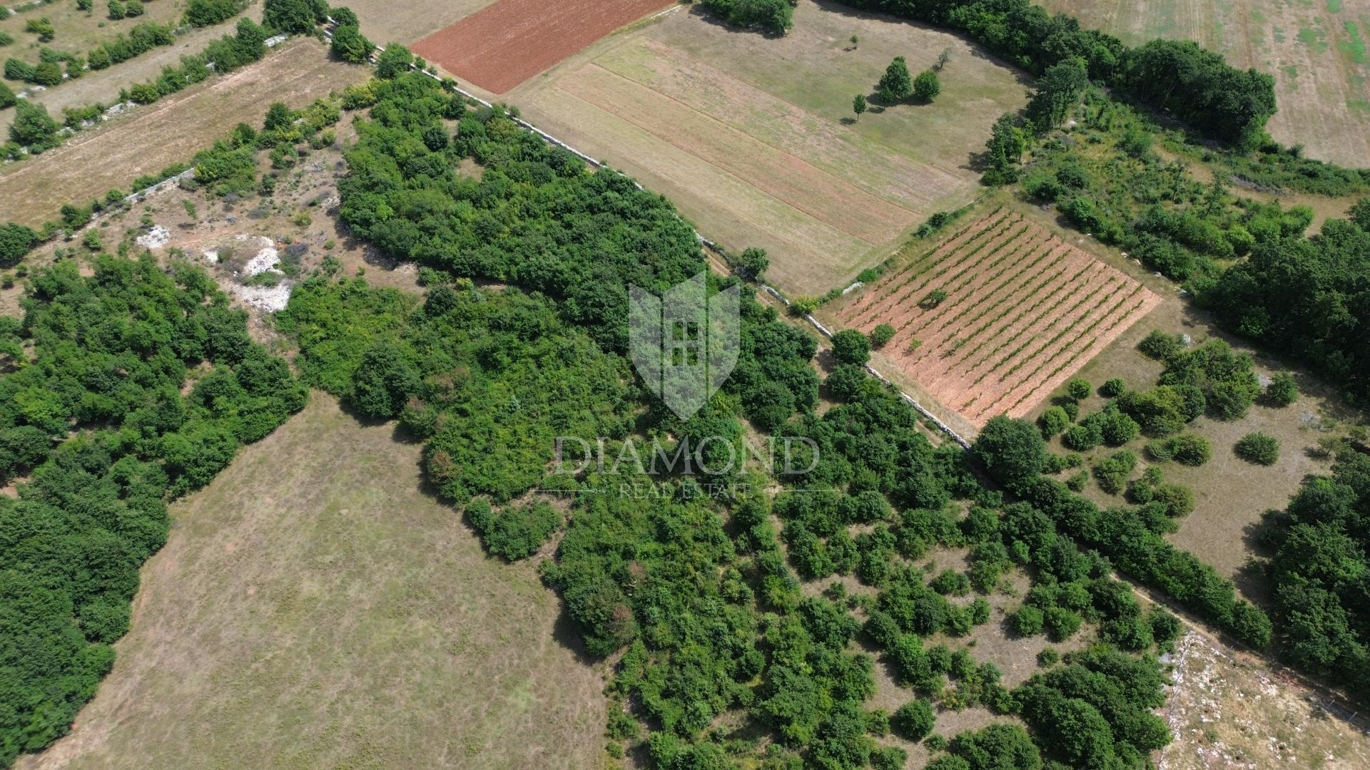 Terre dans Svetvincenat, Istarska Zupanija 11998054