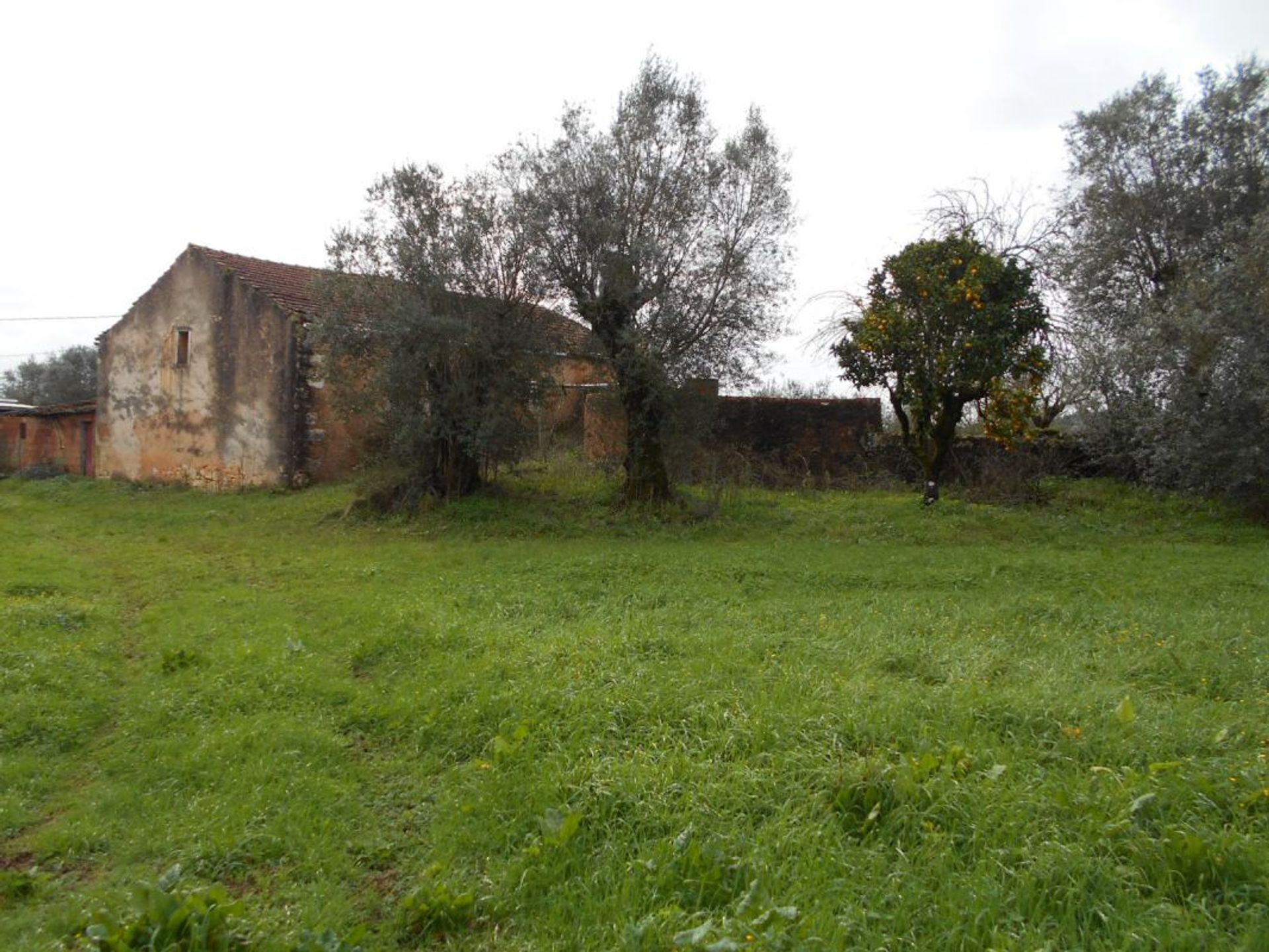 Casa nel Soure, Coimbra District 11998561