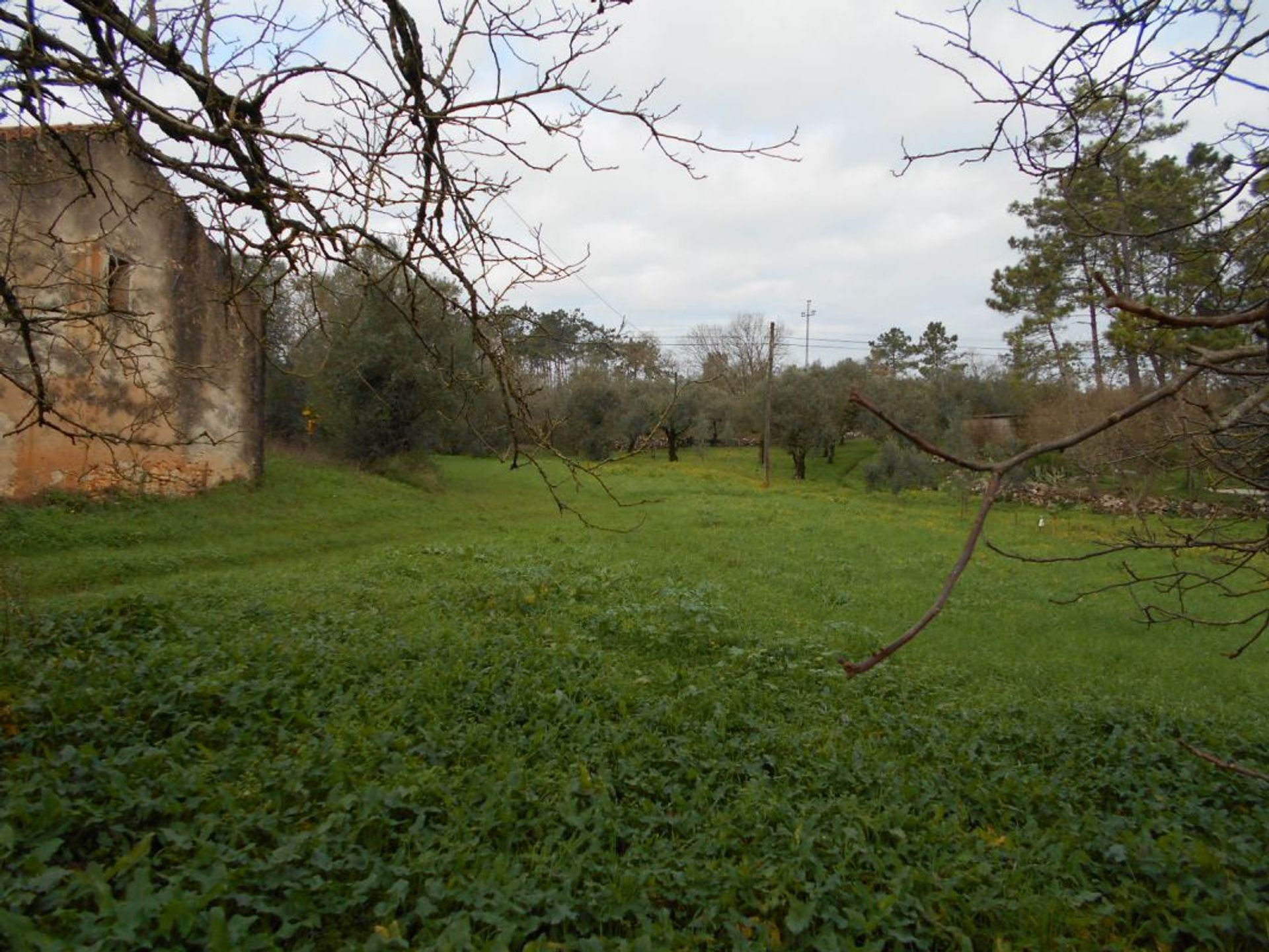 House in Soure, Coimbra District 11998561