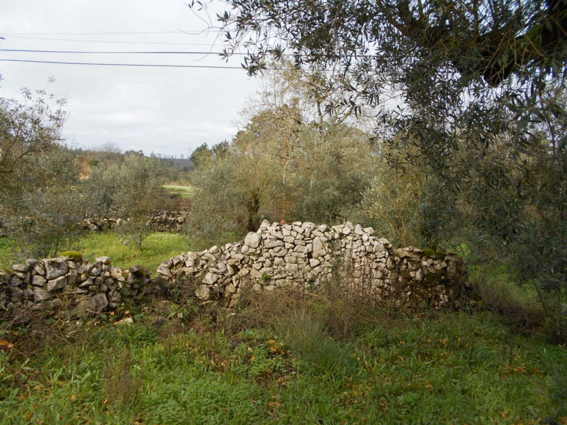 rumah dalam Soure, Coimbra District 11998561