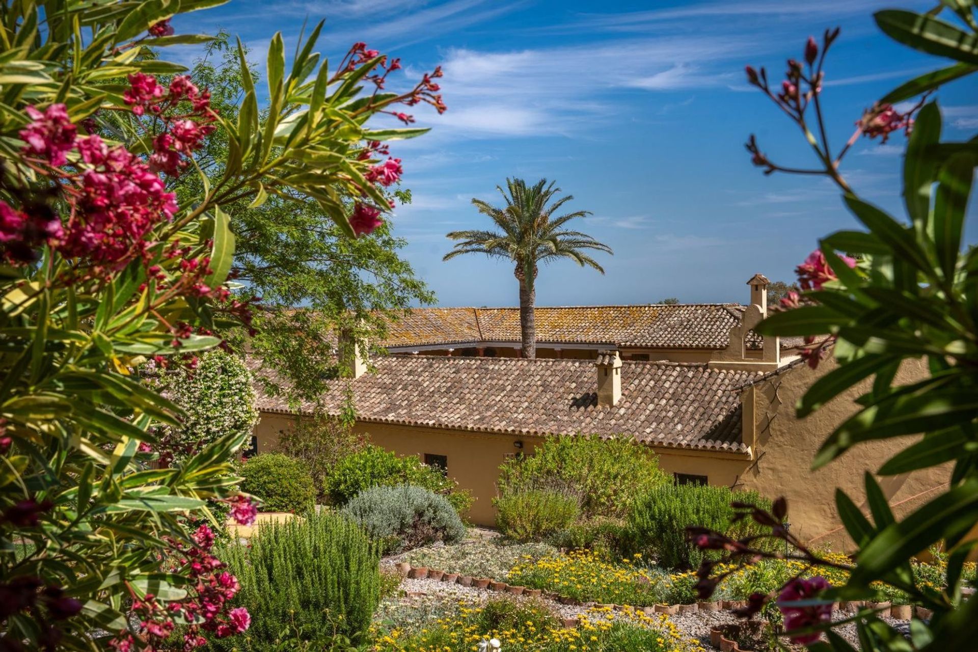 loger dans San Roque, Andalucía 11999178