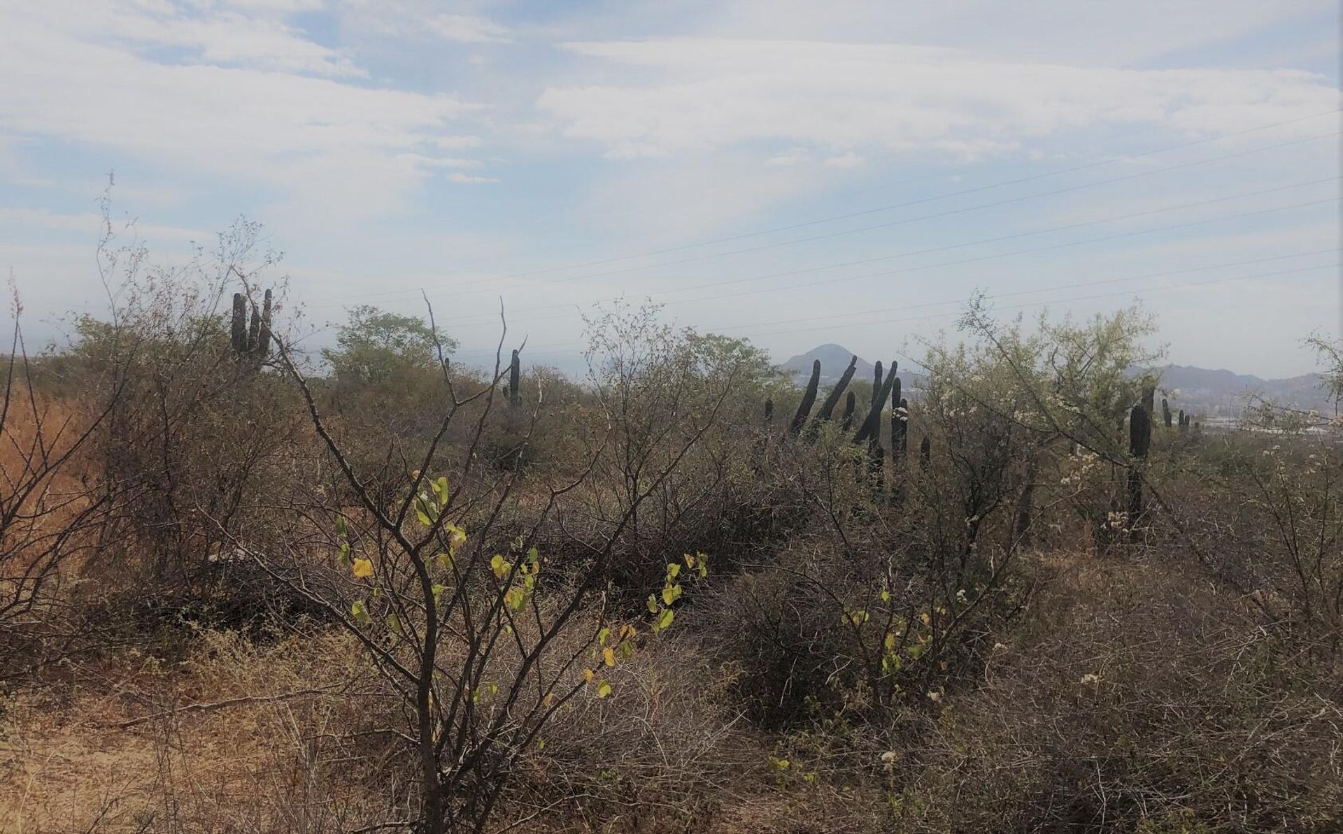 Land in Cabo San Lucas, Boulevard Paseo de la Marina 12000102