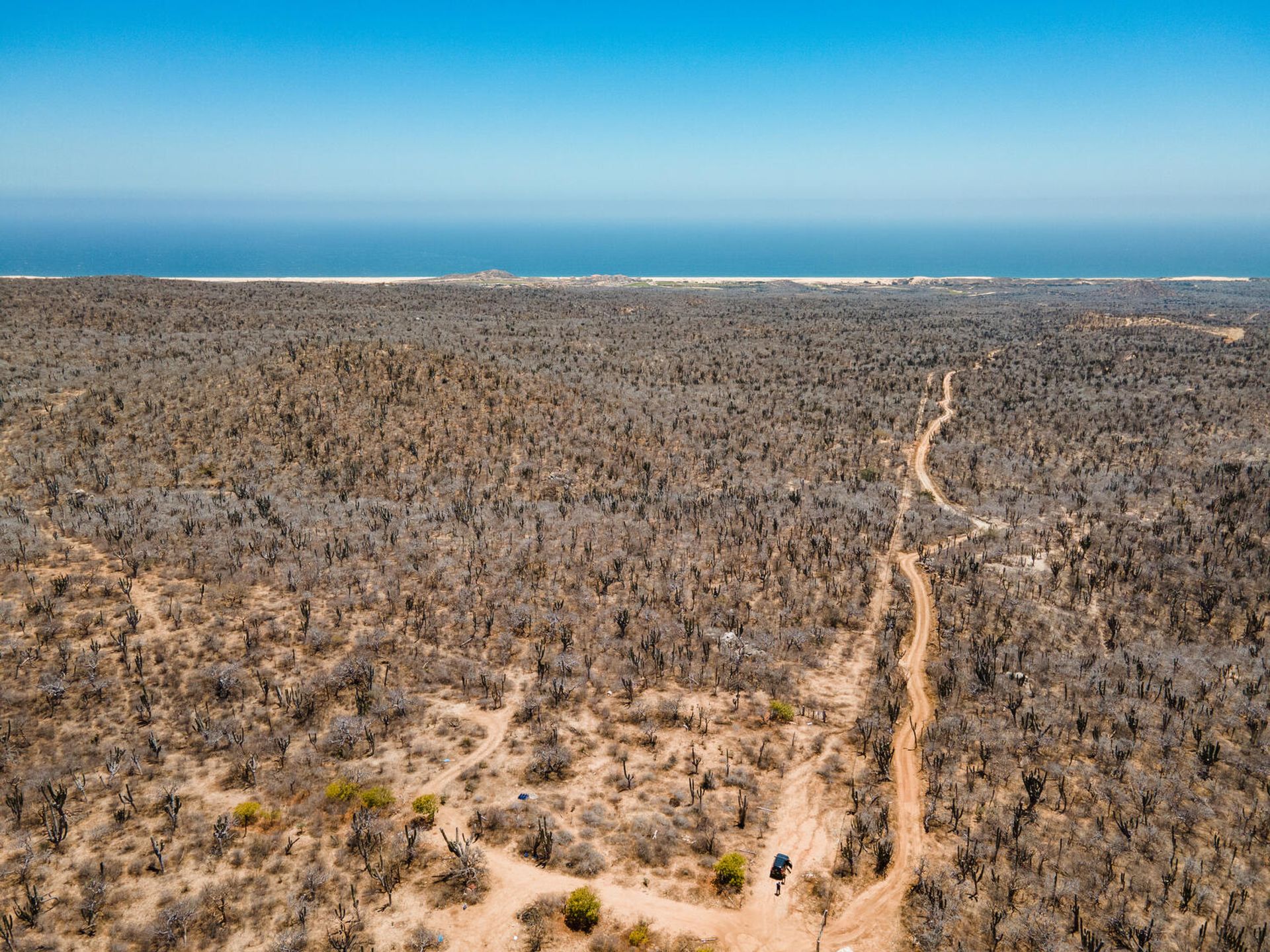 Terra no Cabo São Lucas, Baixa Califórnia Sul 12000104