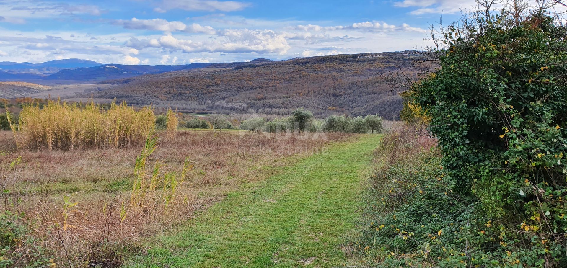 Земля в Grožnjan, Istria County 12000170