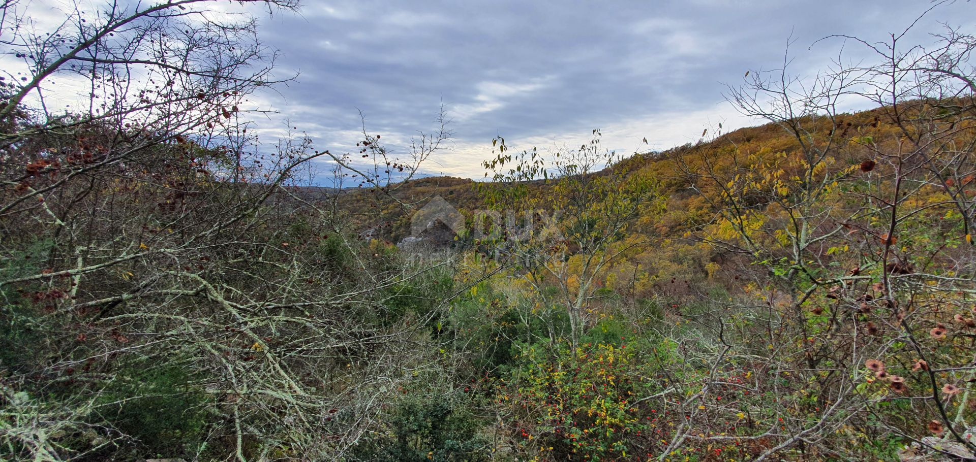 Земля в Grožnjan, Istria County 12000170