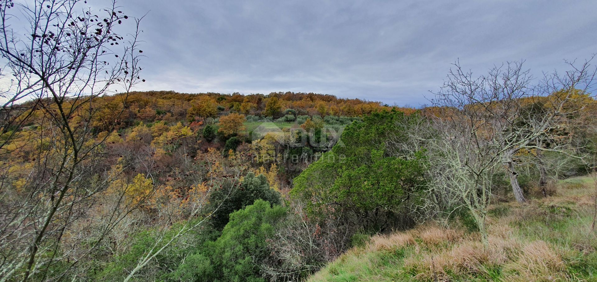 Земля в Grožnjan, Istria County 12000170