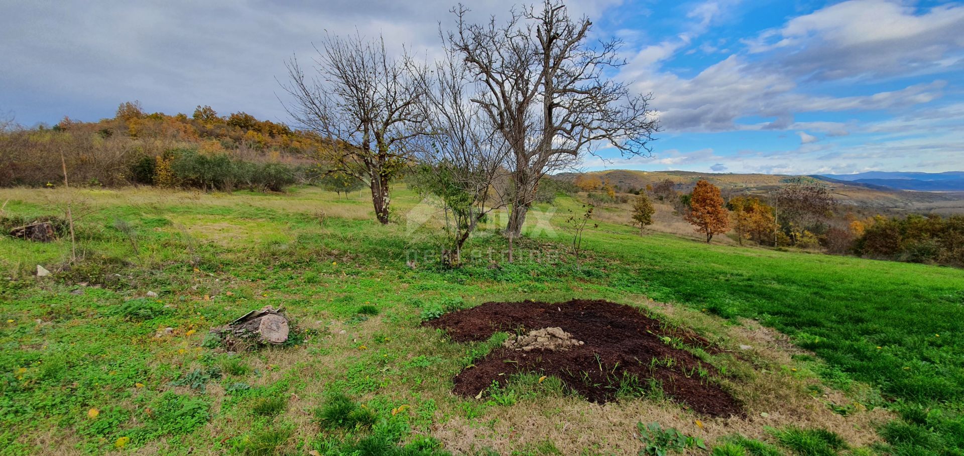 Земля в Grožnjan, Istria County 12000170