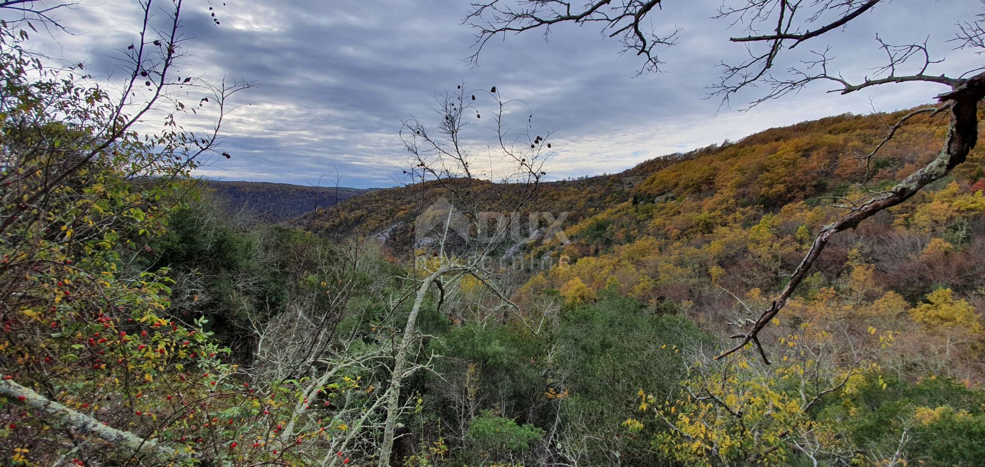 Земля в Grožnjan, Istria County 12000170