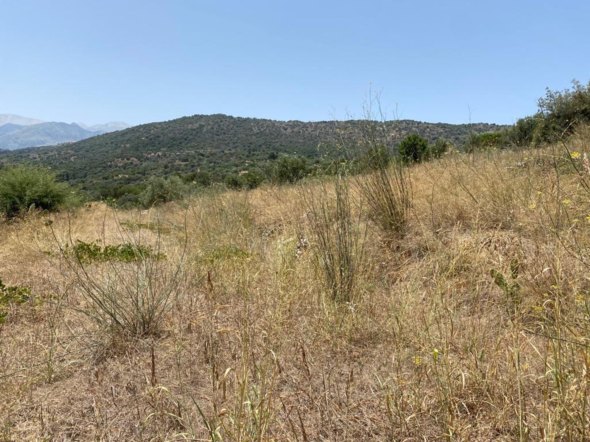 Land in Nipos, Kriti 12000267