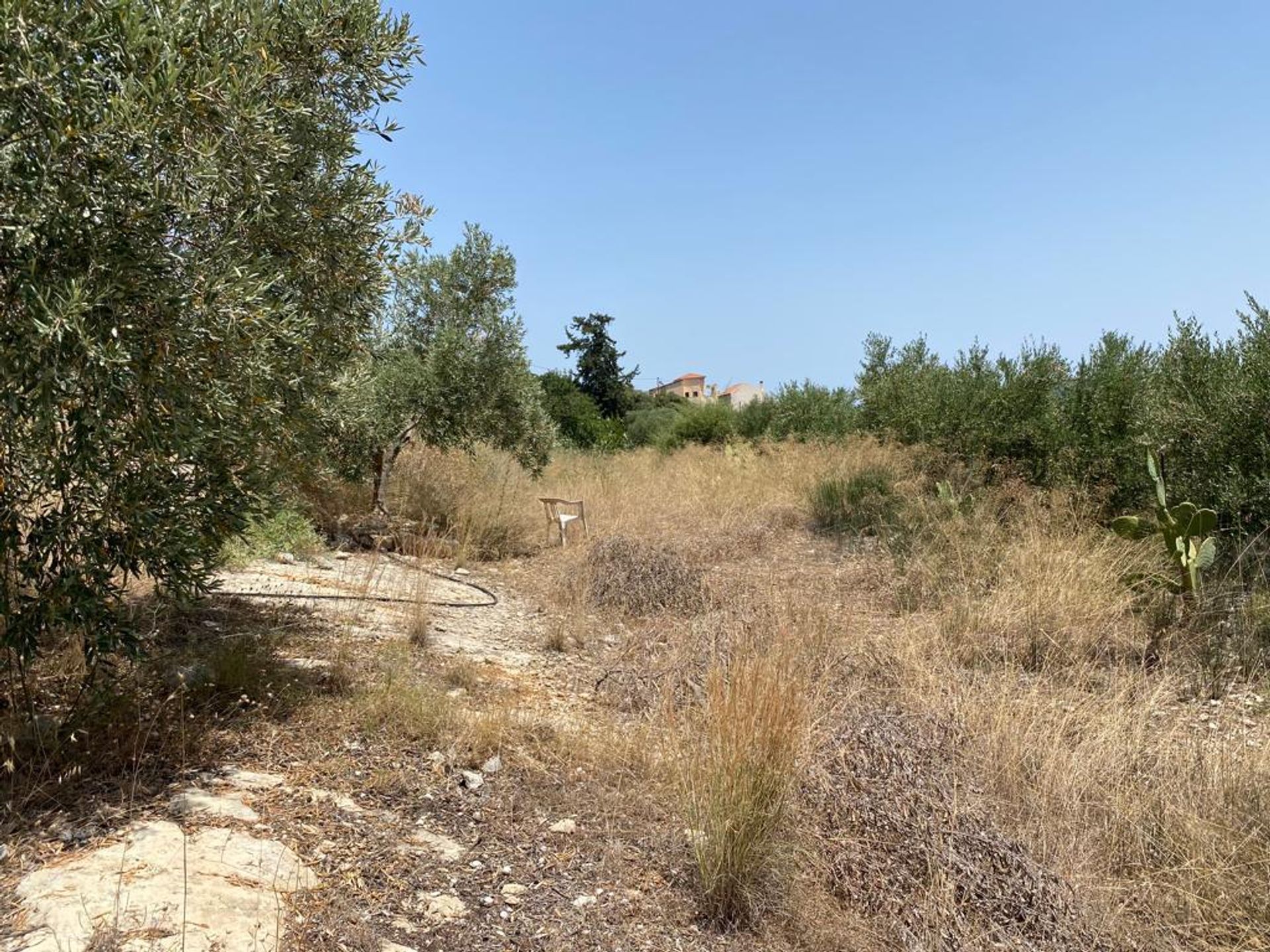 Land im Nipos, Kriti 12000267