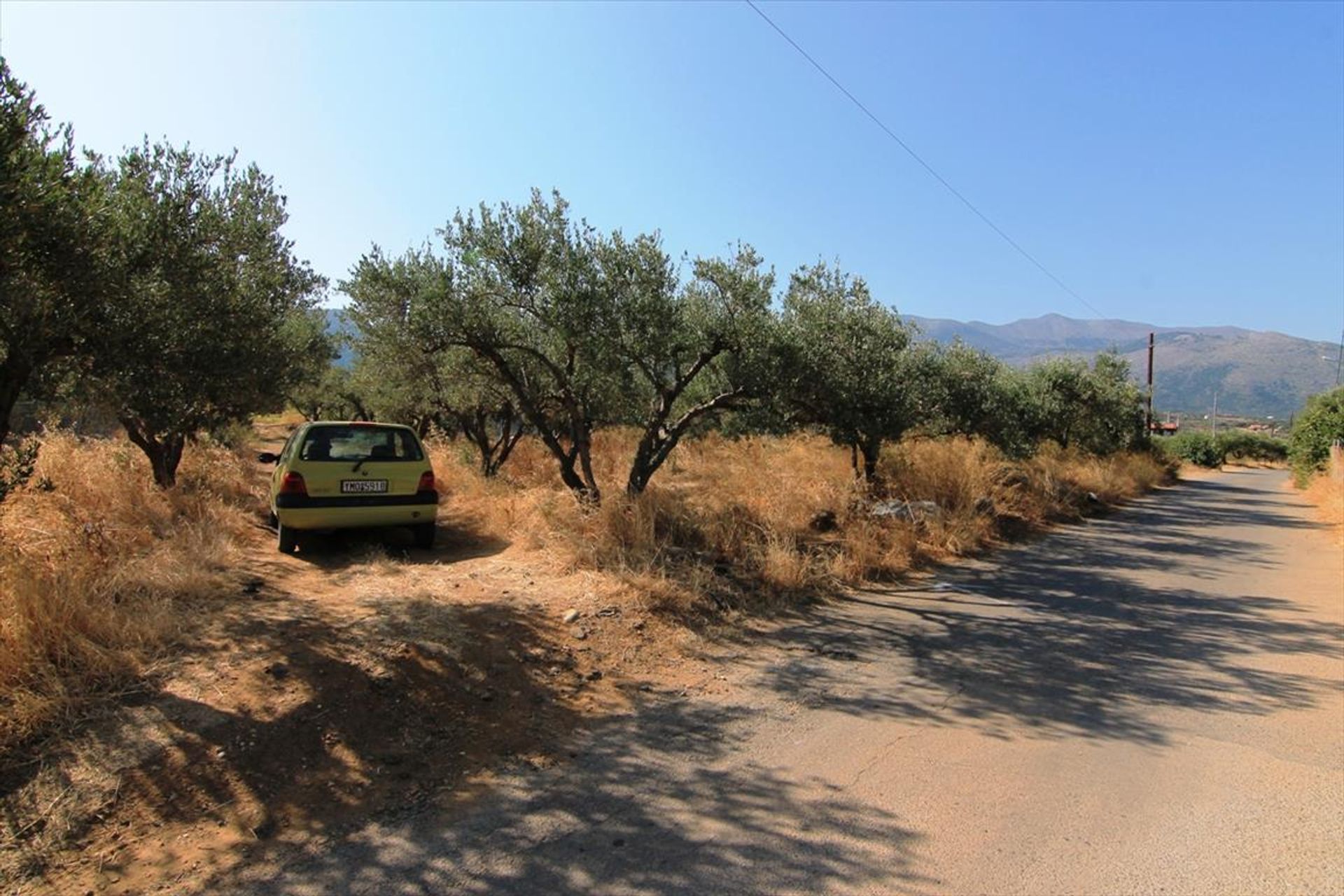 Terra no Malia, Criti 12000284