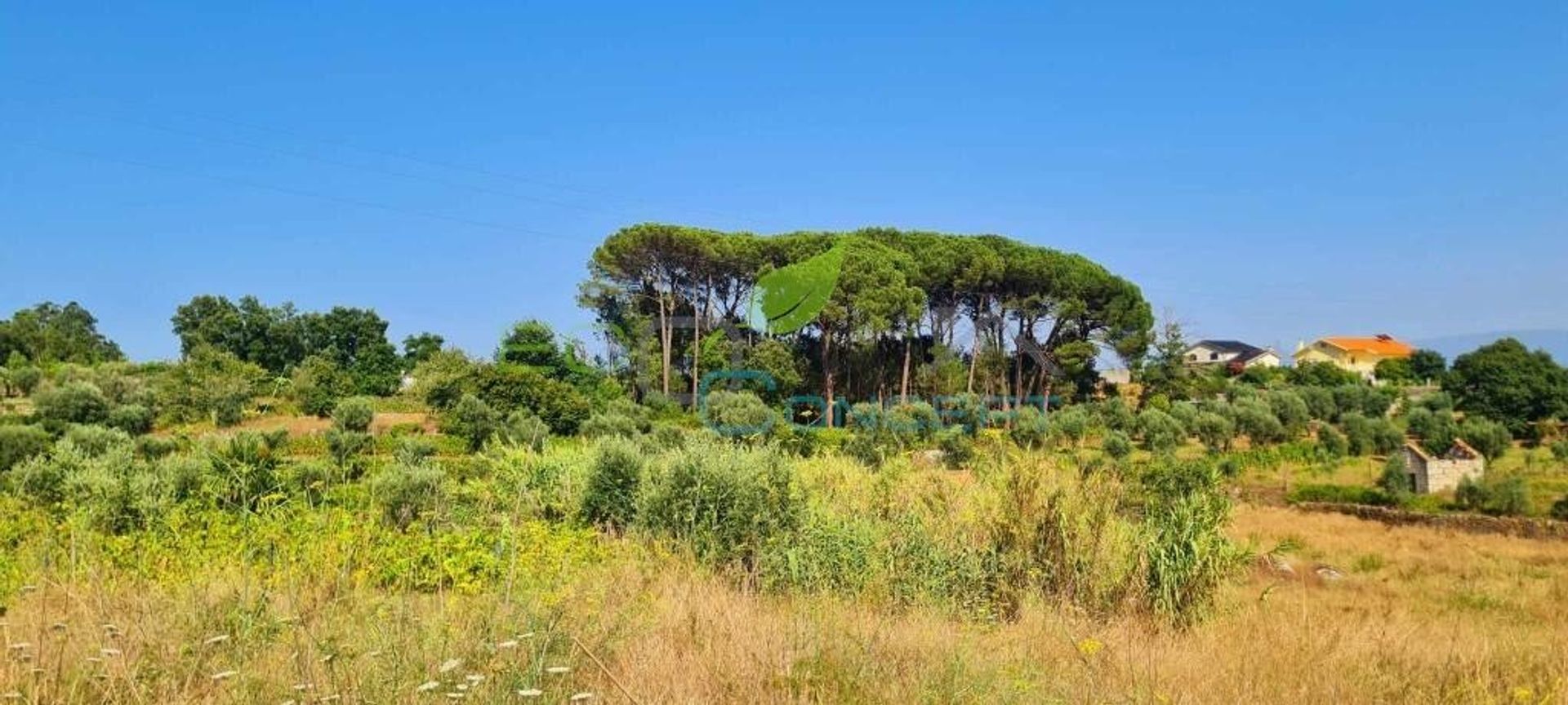 Tierra en Tondela, Viseu 12000327