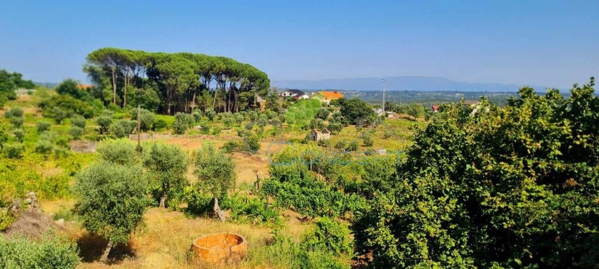 Tierra en Tondela, Viseu 12000327