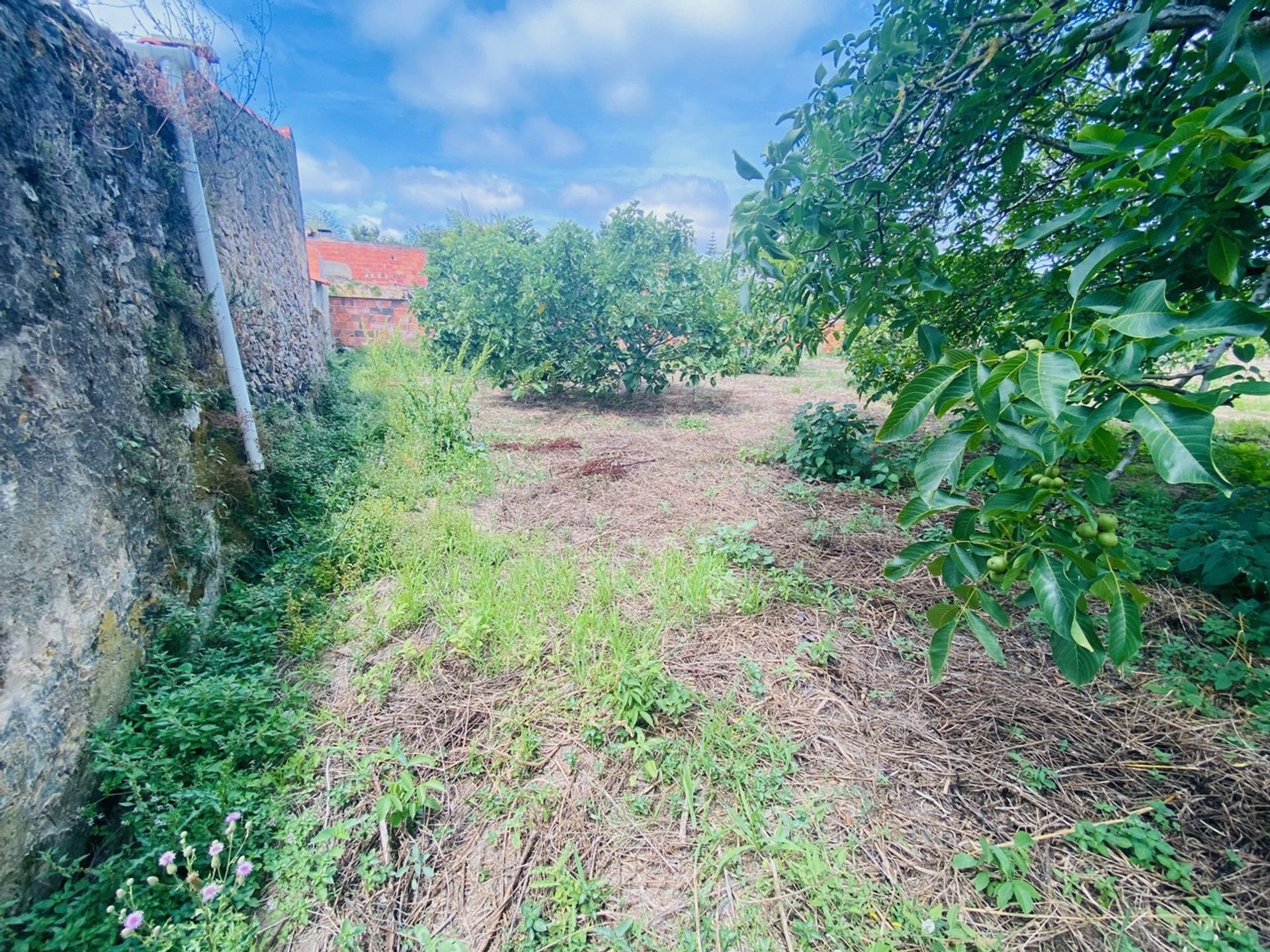 Tanah dalam Caldas da Rainha, Leiria 12000641