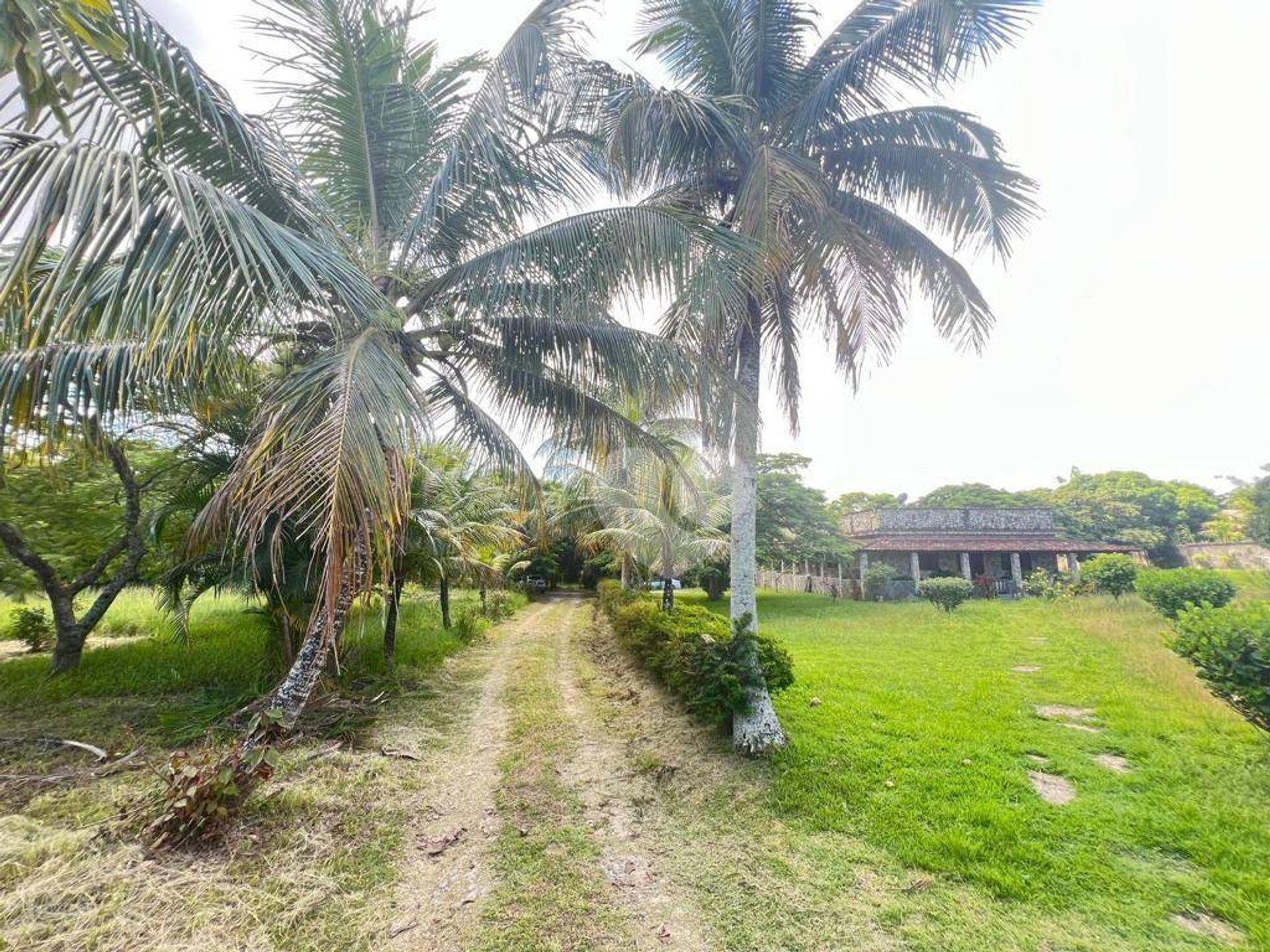 Land in Pedra de Guaratiba, Rio de Janeiro 12000850