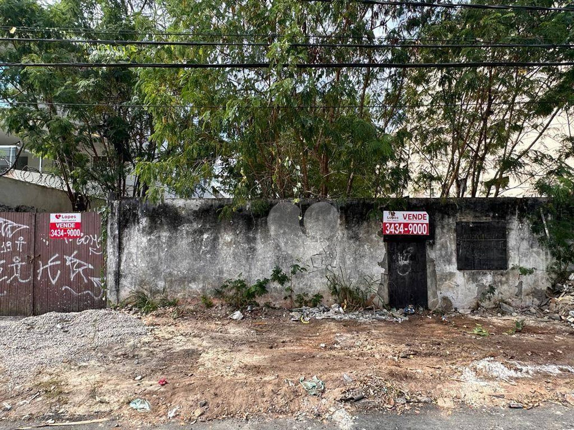 Tanah dalam Restinga de Itapeba, Rio de Janeiro 12001007