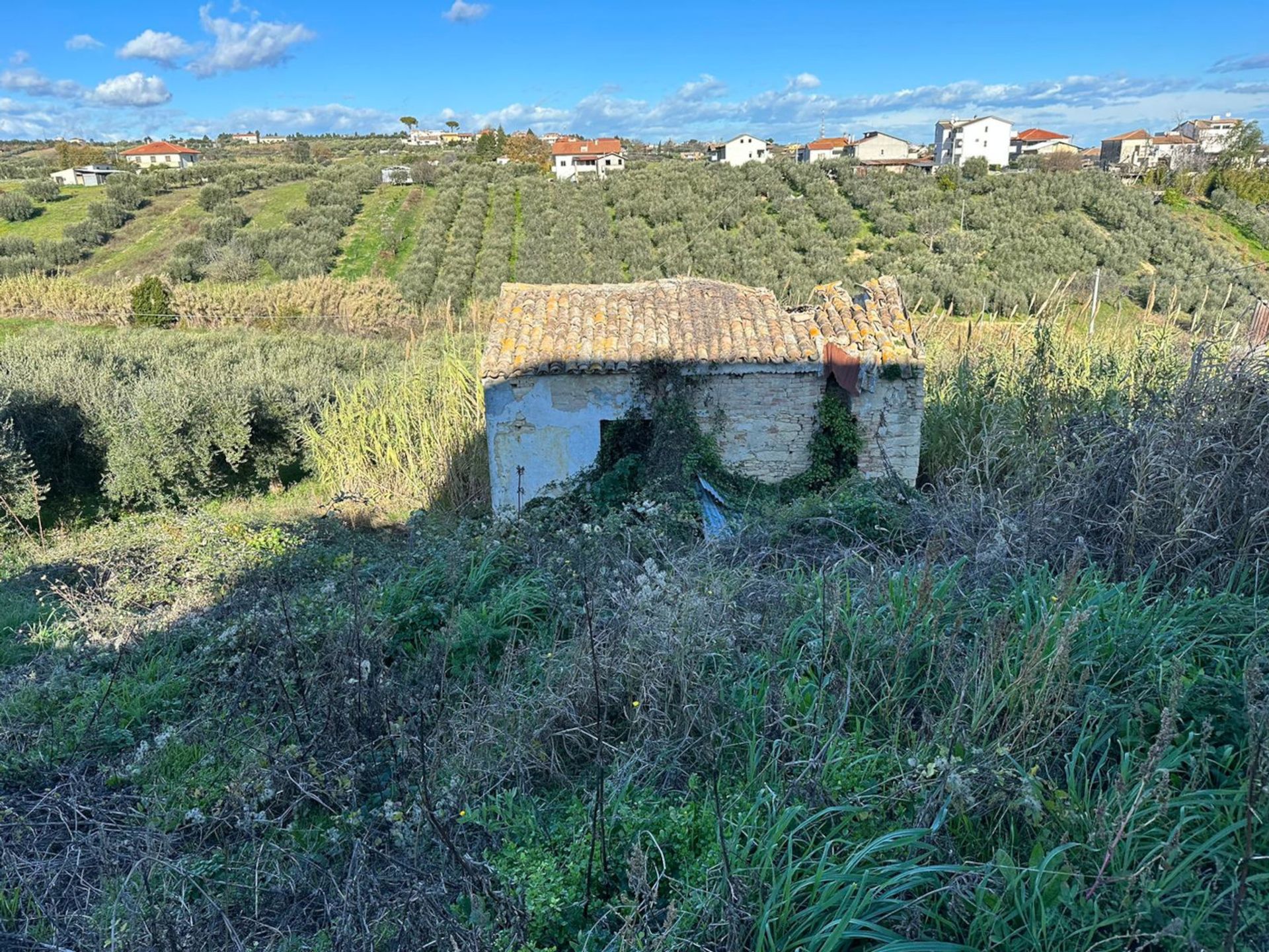 Condominium in Torrevecchia Teatina, Abruzzen 12003006