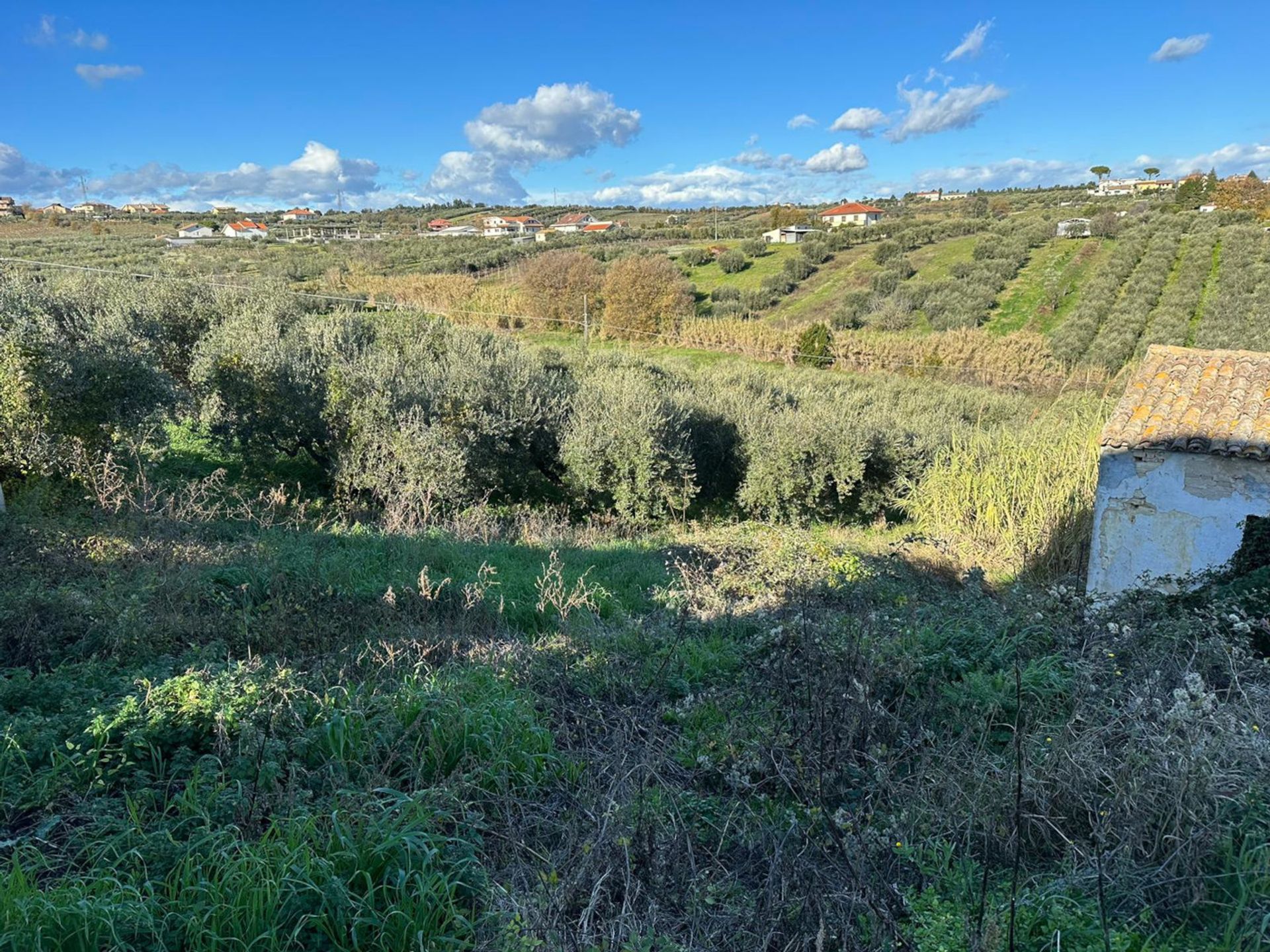 Συγκυριαρχία σε Torrevecchia Teatina, Abruzzo 12003006